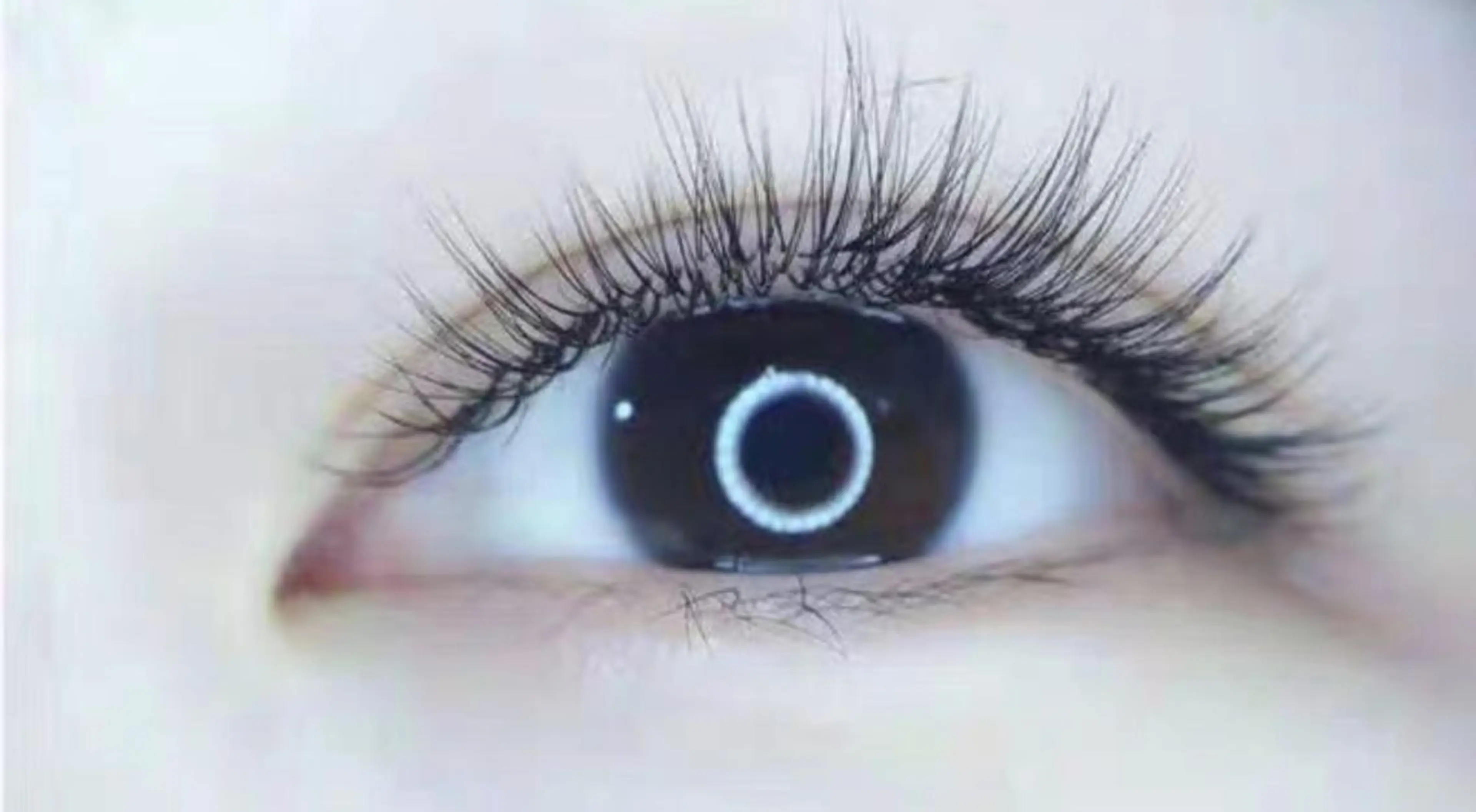 マツエク・マツパ 付け放題 An beauty2のマツエク・マツパデザイン