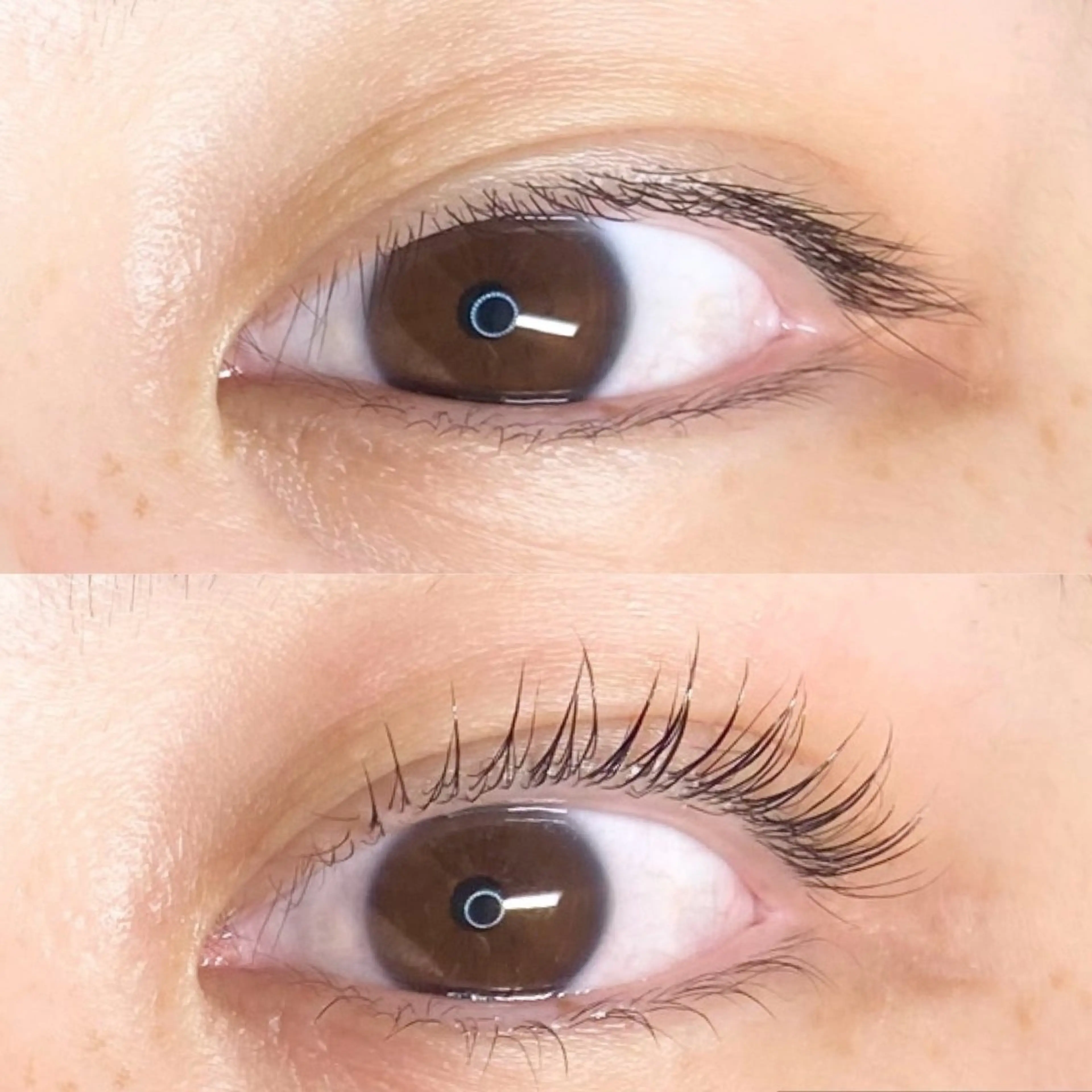 マツエク・マツパ LEDエクステ専門店 Fedis 京橋のマツエク・マツパデザイン