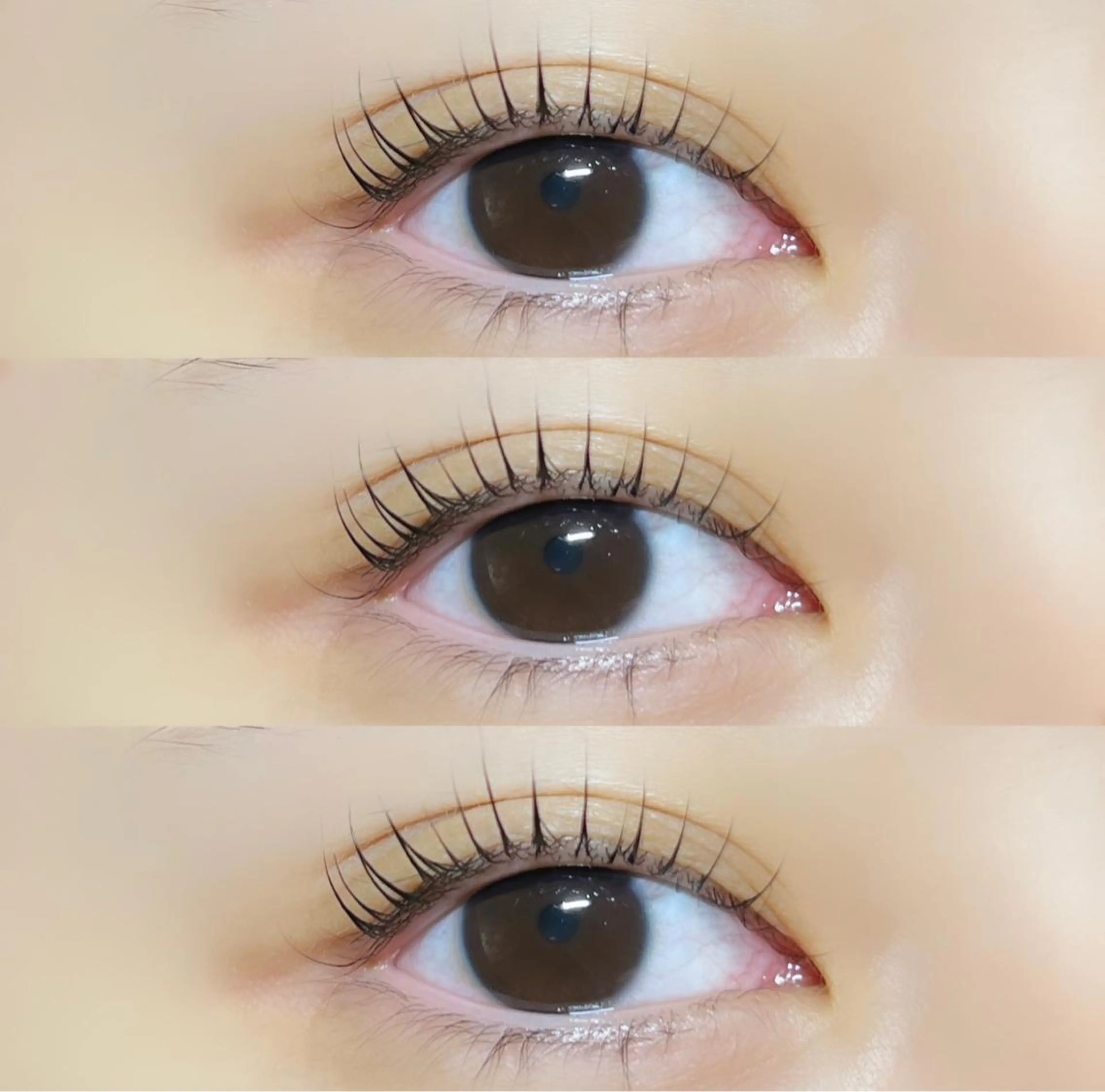 マツエク・マツパ Milobyking 🍒rihoの眉毛・アイブロウイメージ