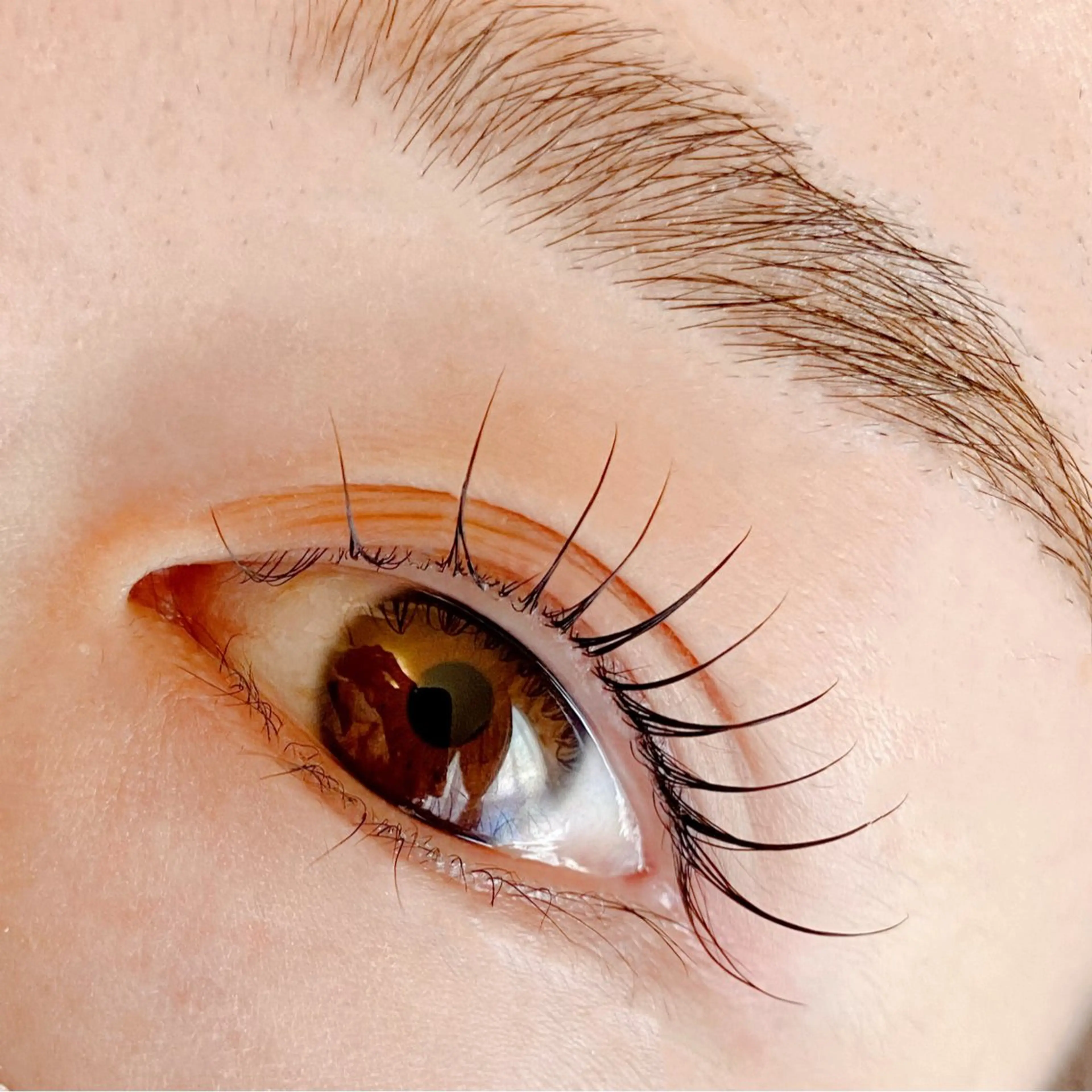 《ご新規様限定ラッシュリフト上》豊富なデザインの中からご要望に添いながらご提案させていただきます✨の写真