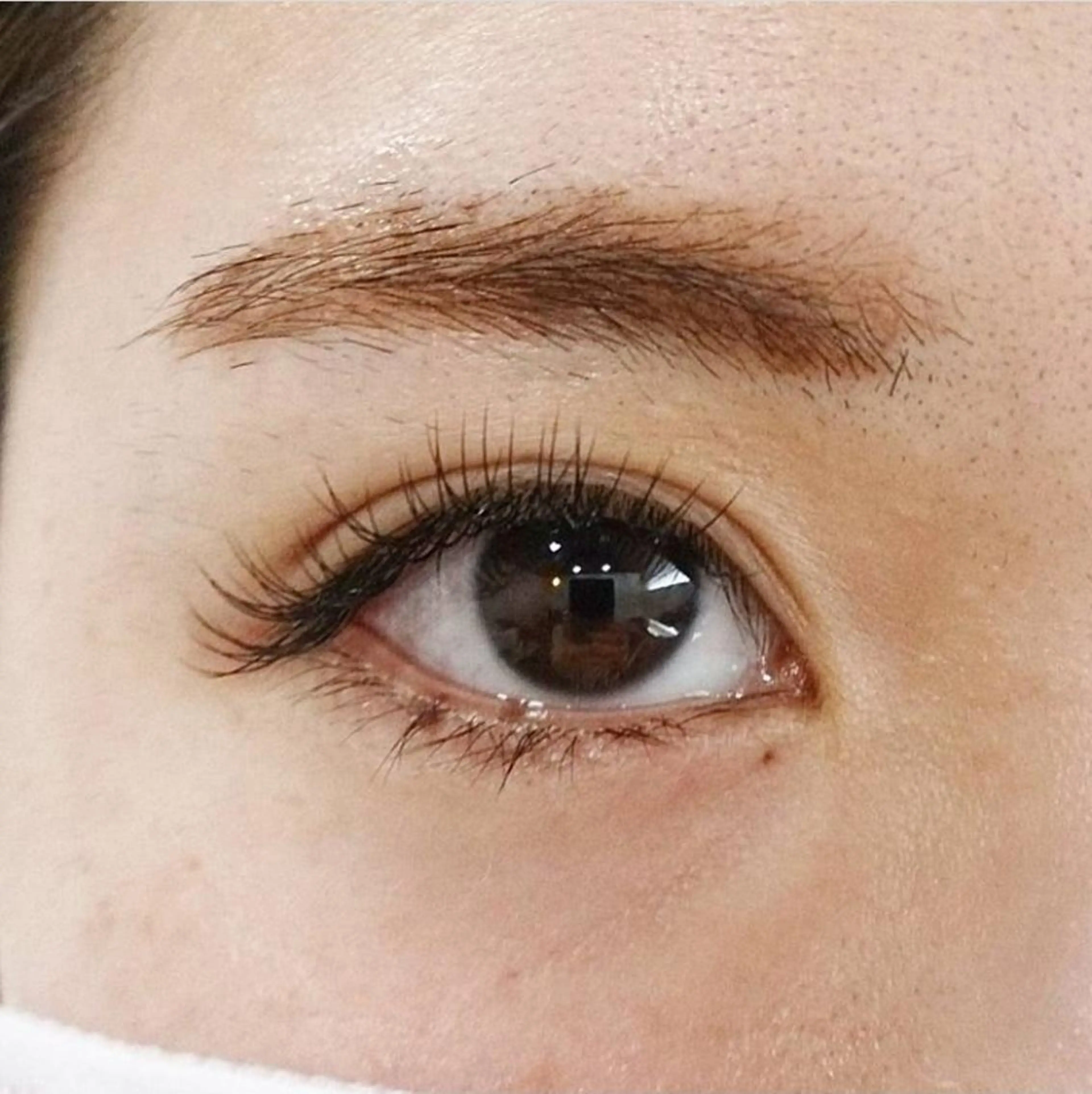 ケラチンラッシュリフト✴️ダメージレス次世代マツパ🌿ケラチンオイル・コーティング・ドライヘッドスパつき🌿の写真