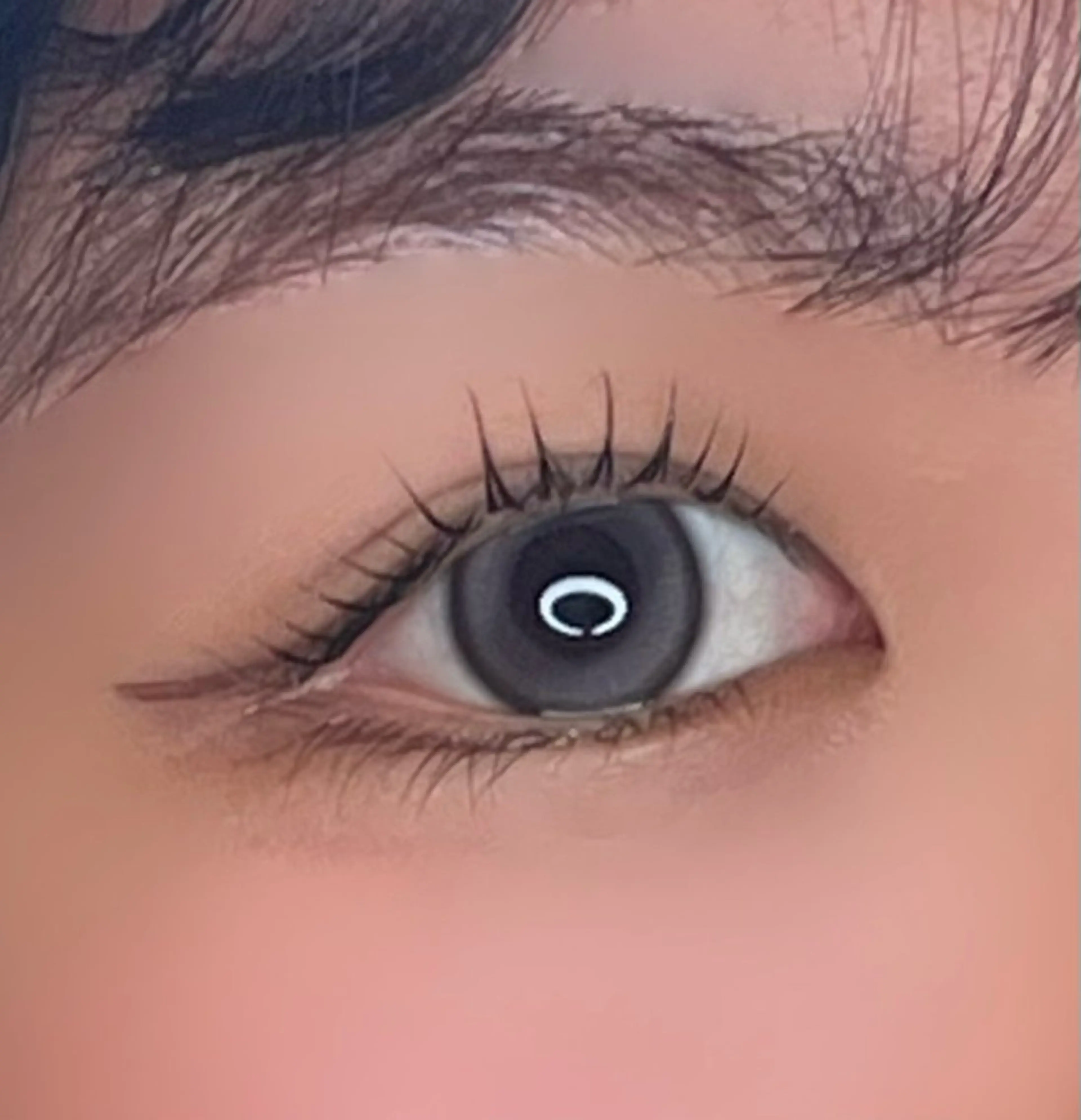 【4/26​〜​モデル様 募集🛋🌠】まつげパーマor パリジェンヌラッシュリフトの写真