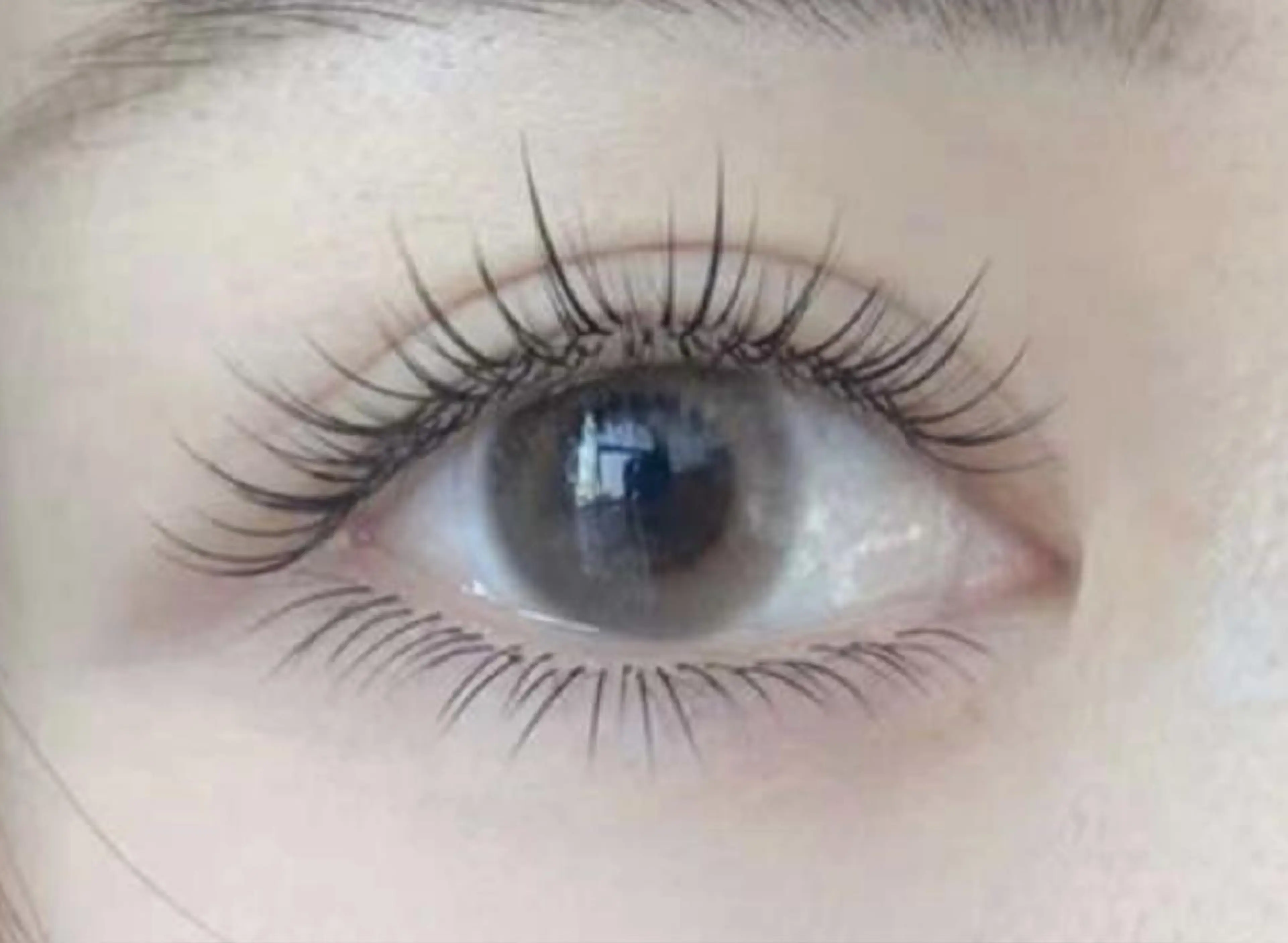 「漫画キャラクター」アニメや漫画の“描いたような”まつ毛（上下）8580の写真