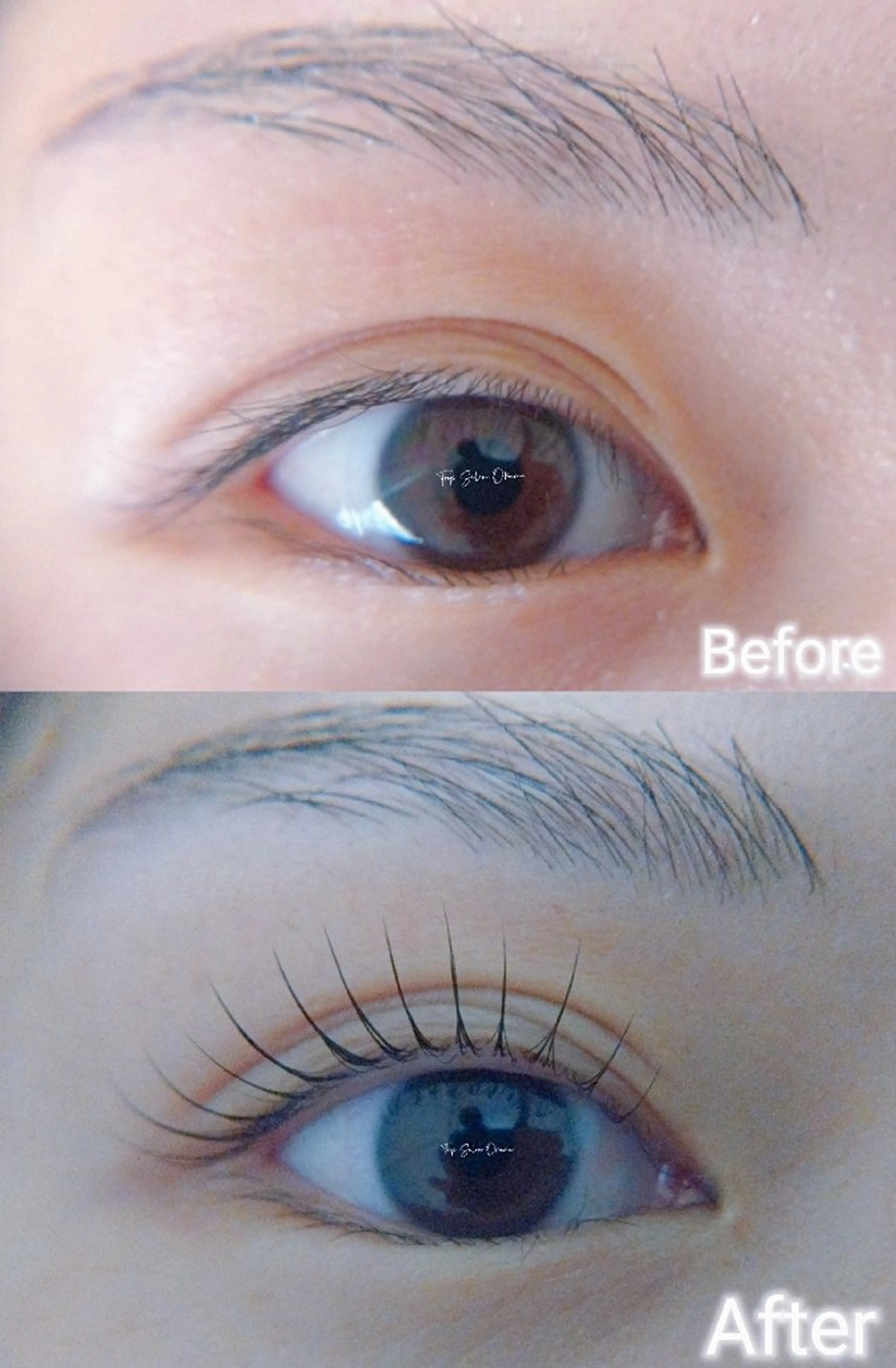 マツエク・マツパ マツパ ❤LEDまつぱ❤那覇 🅿️有、泉崎のマツエク・マツパデザイン