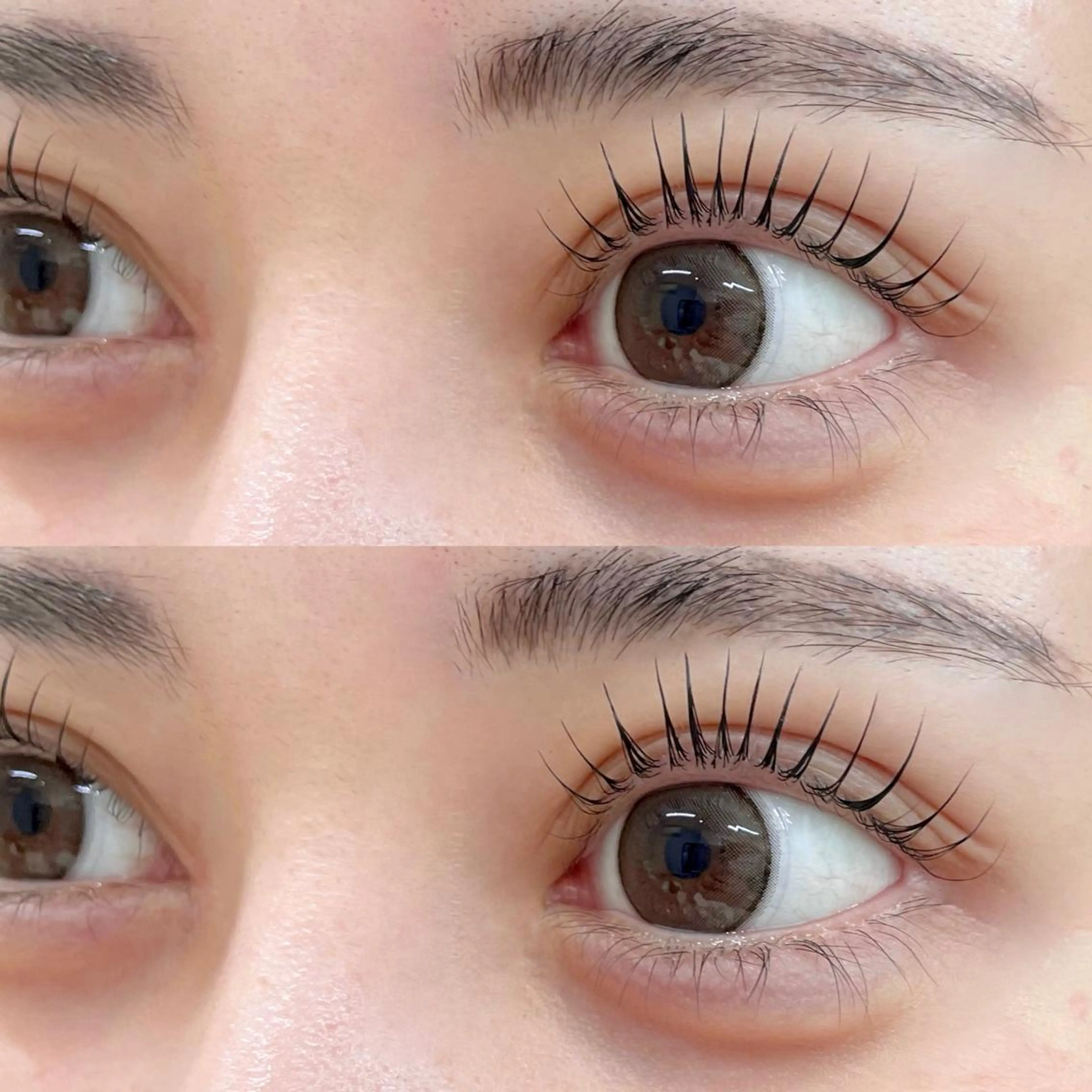 マツエク・マツパ shuon 武蔵境店所属・【武蔵境店】工藤 さくらのマツエク・マツパデザイン