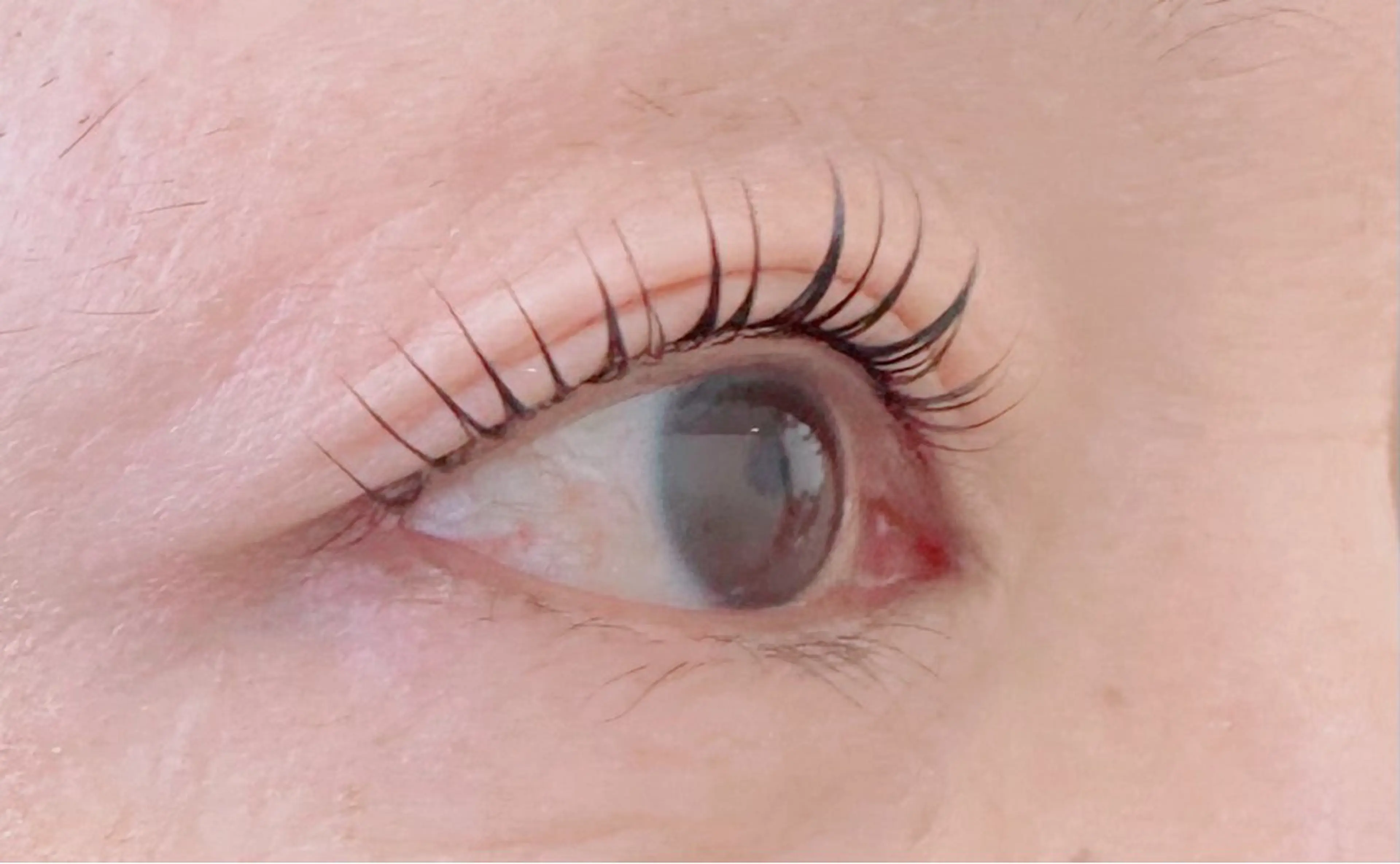 マツエク・マツパ aya 🫧の眉毛・アイブロウイメージ