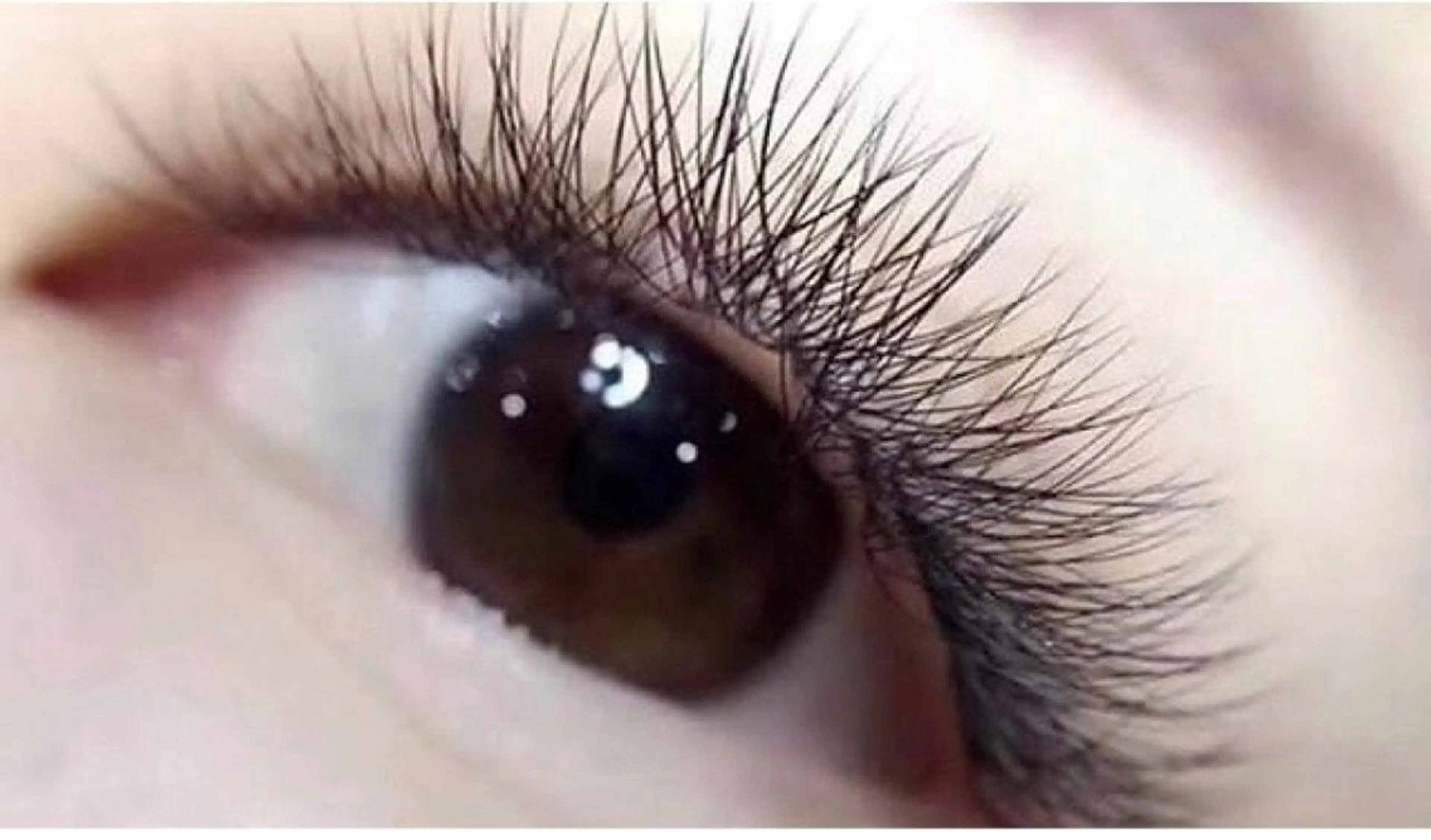 クロスボリュームラッシュの写真