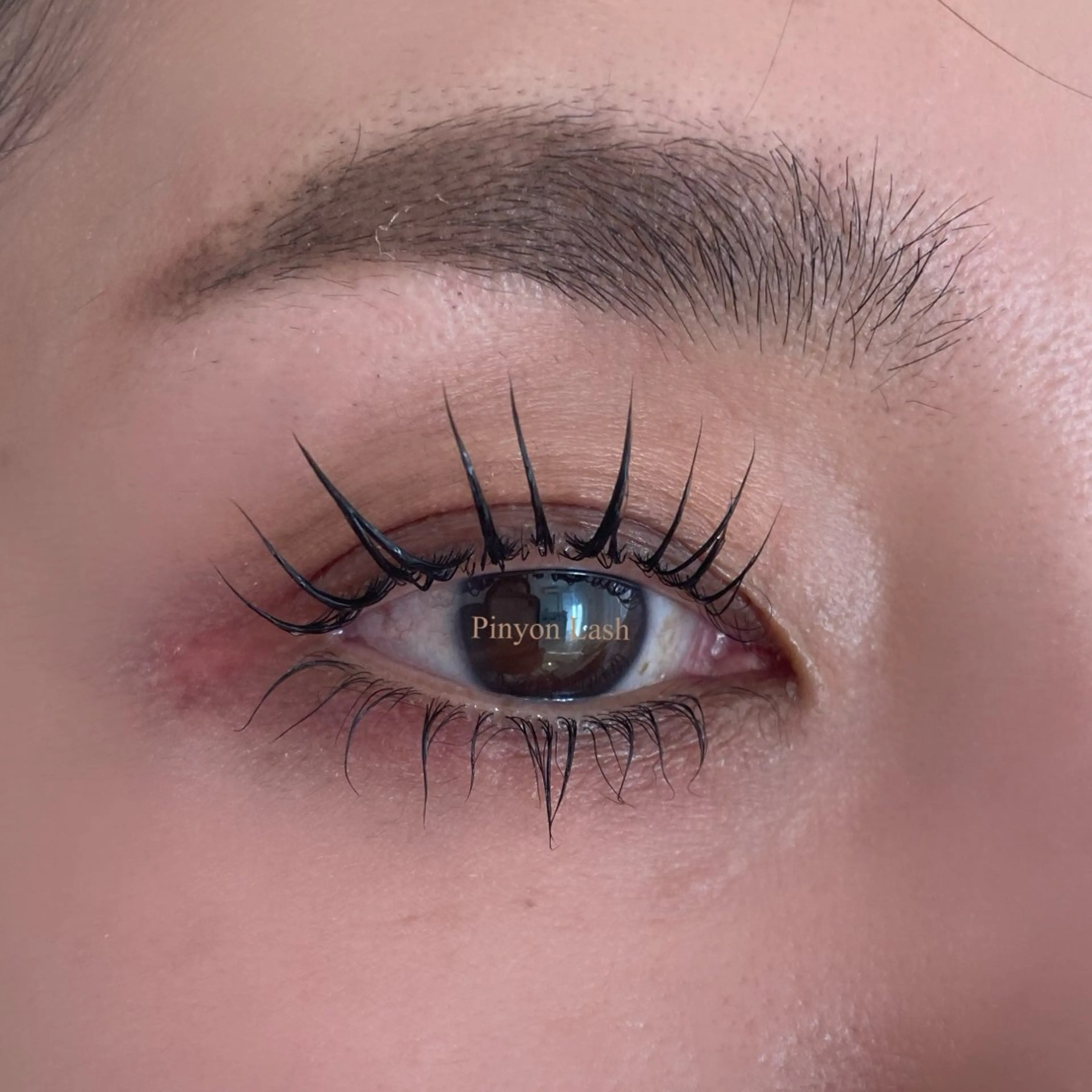 マツエク・マツパ ピニョン ラッシュのマツエク・マツパデザイン