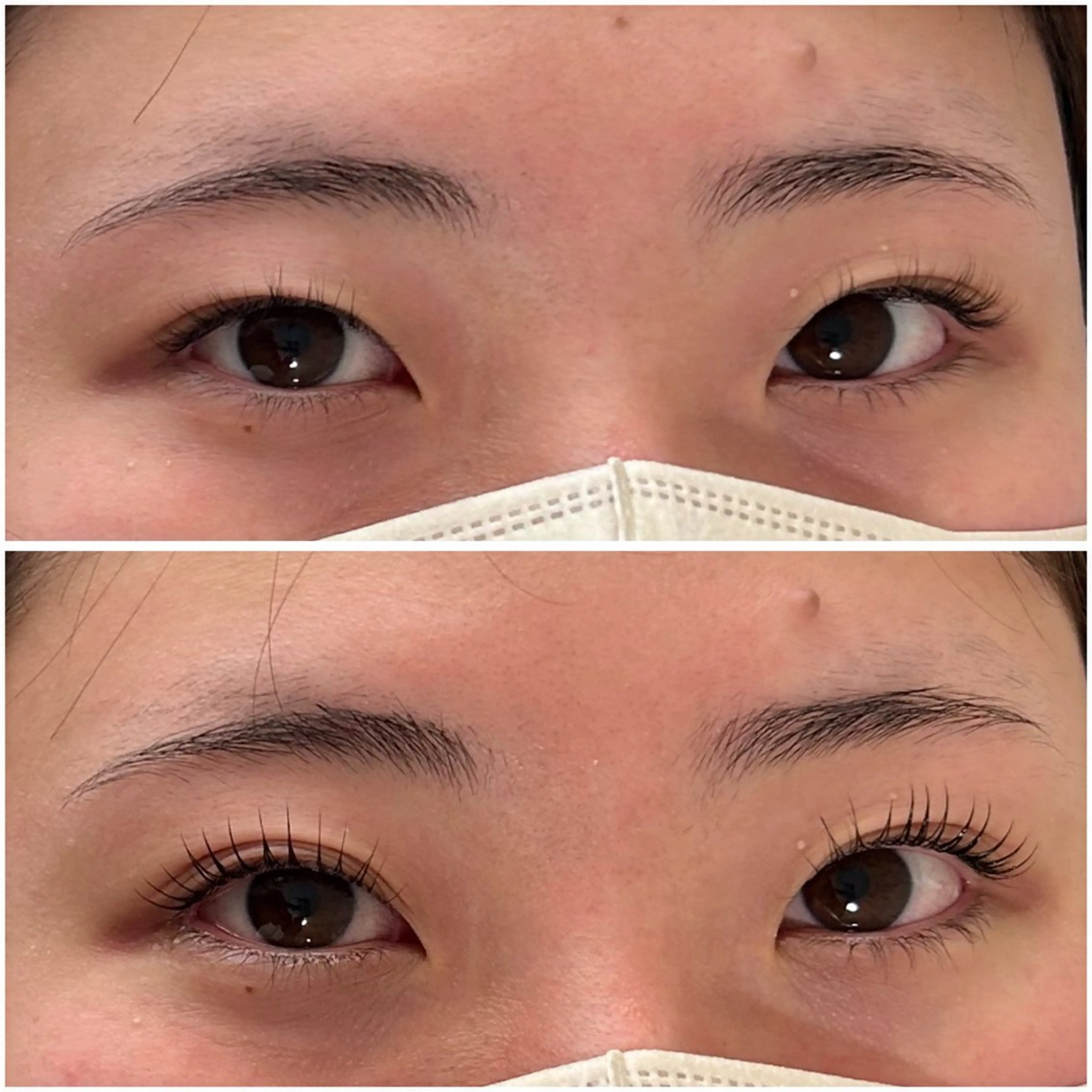 マツエク・マツパ マツパ Lien Lash/ マツエク/マツパの眉毛・アイブロウイメージ