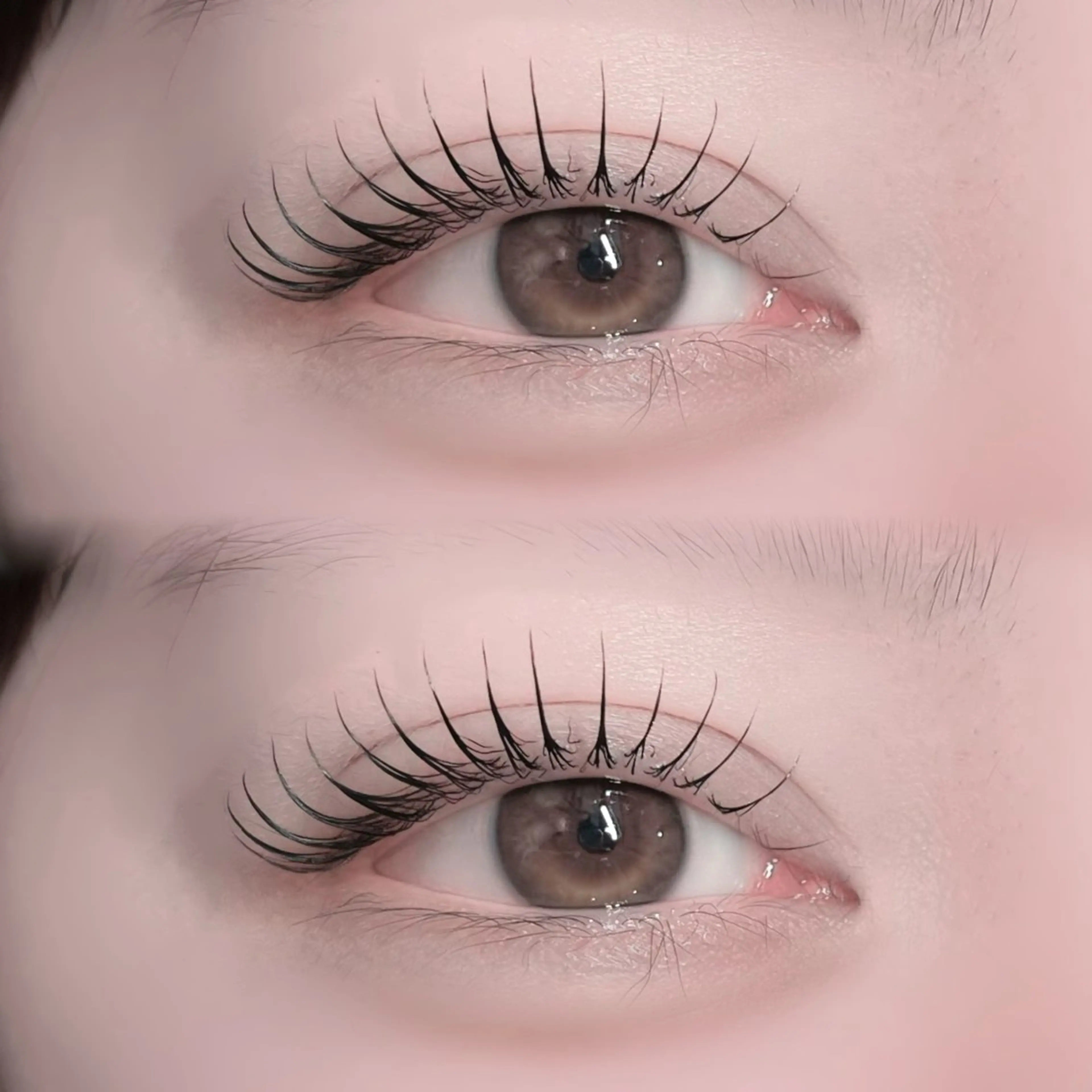 【🎀当日限定🎀】選べる★ラッシュリフト＆束感コーティングお仕上げ💫💞の写真