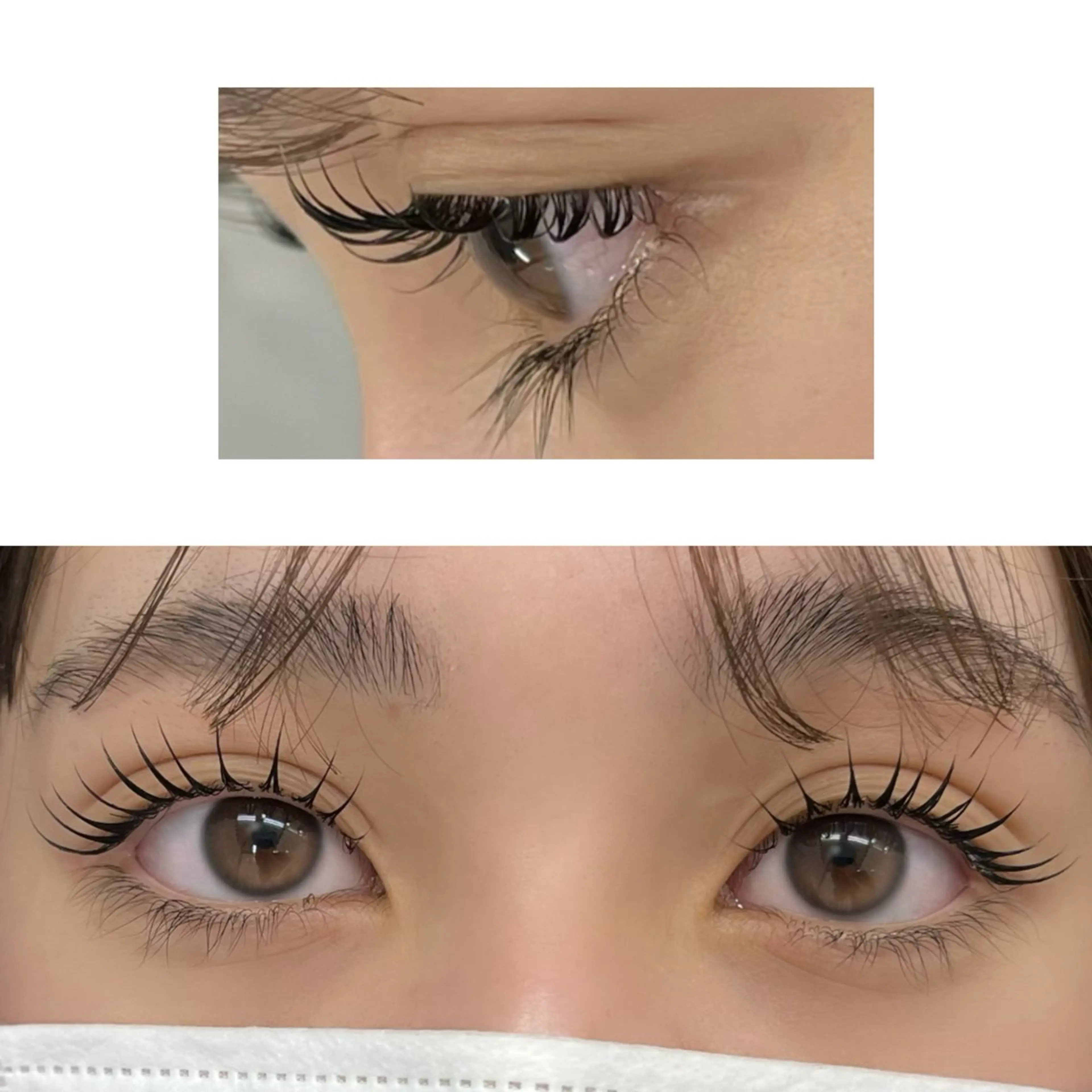 マツエク・マツパ マツパ Amour 🌸Ayakoの眉毛・アイブロウイメージ