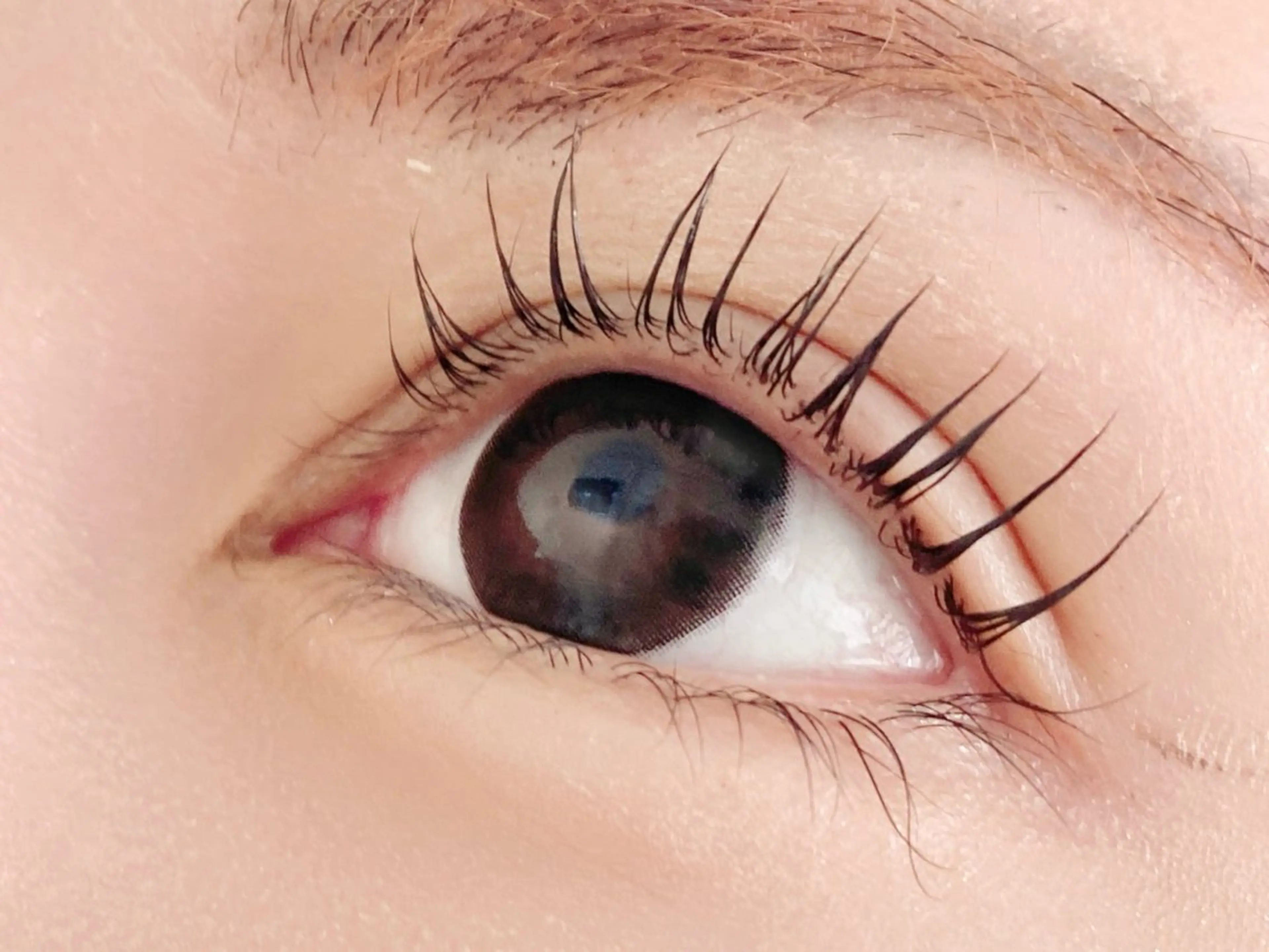 【マスカラパーマ】まつ毛パーマ×ブラックティントの写真