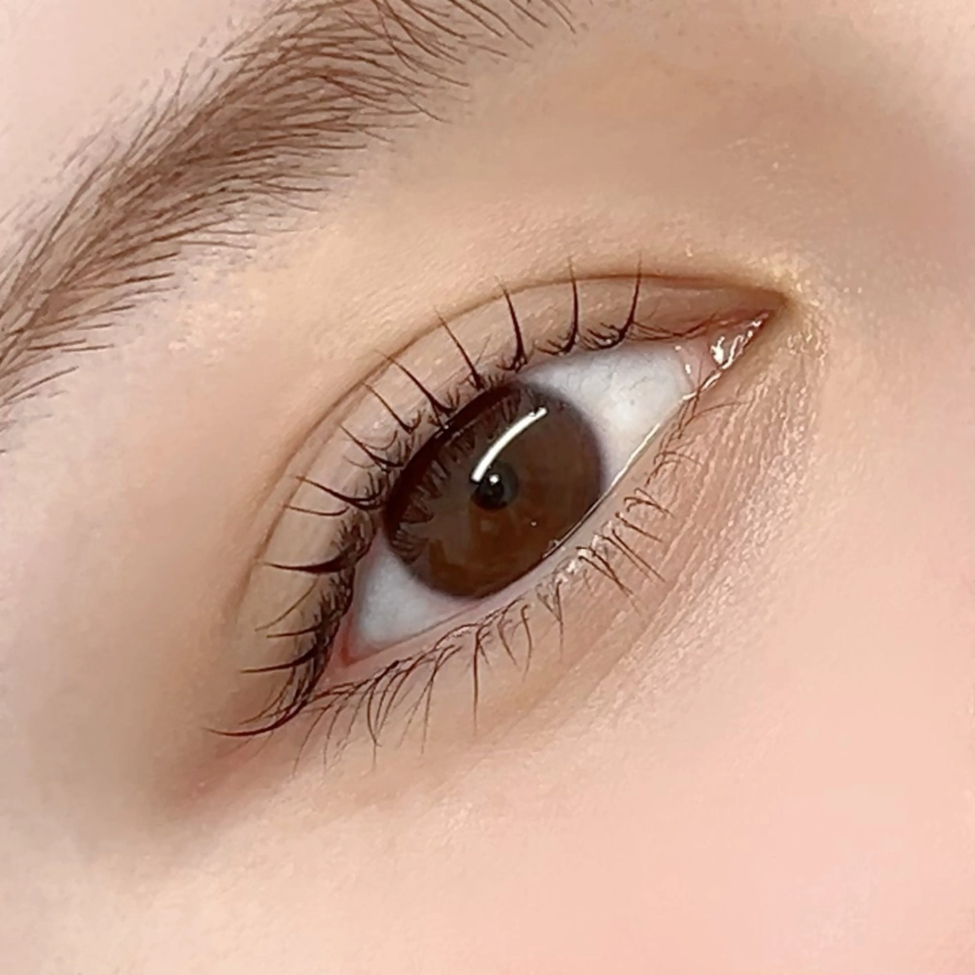 マツエク・マツパ 【Lian】 らん🦋のマツエク・マツパデザイン