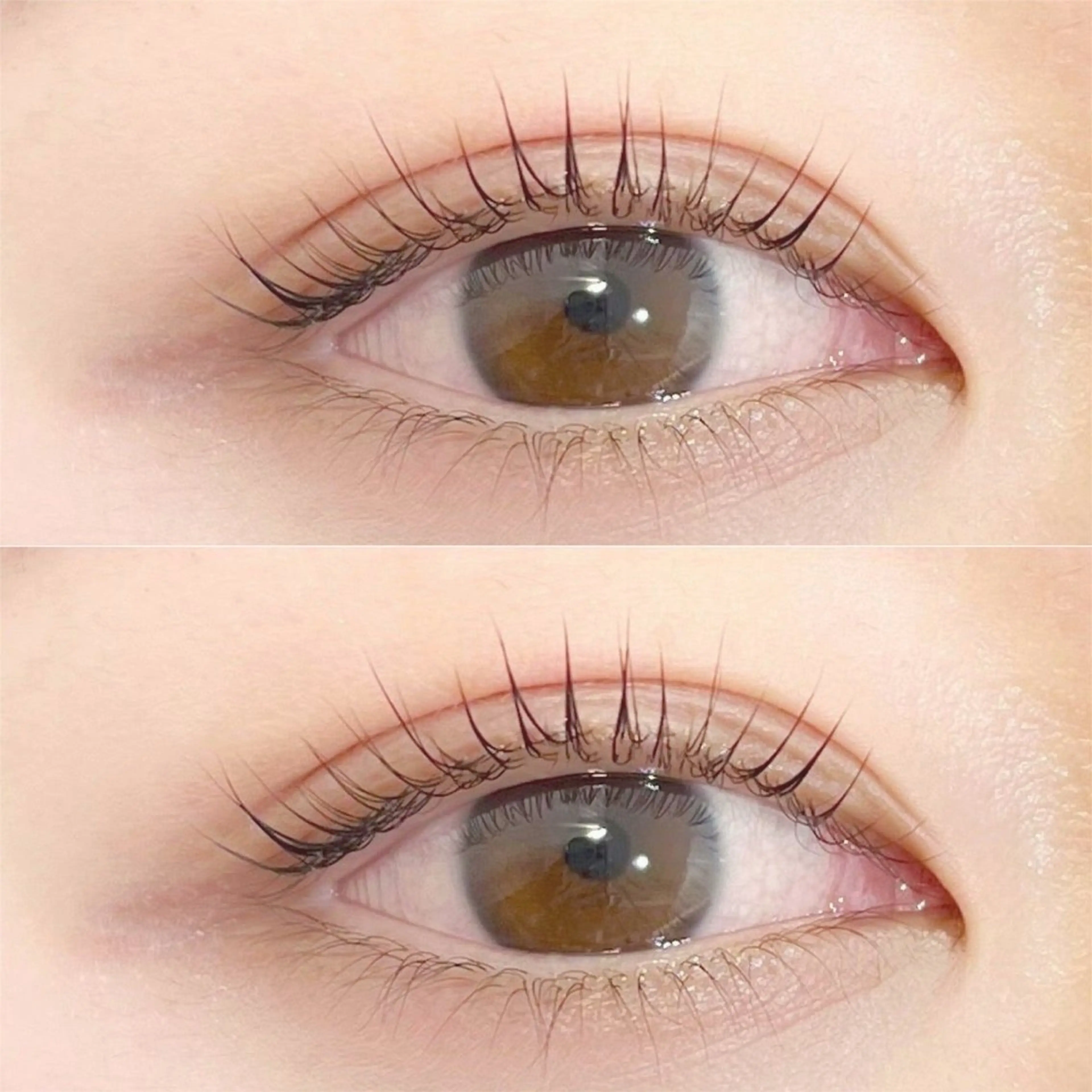 新規minimo限定❤️‍🔥500円𝐎𝐅𝐅 【6月限定クーポン】🕊️パリジェンヌラッシュリフト🕊️の写真