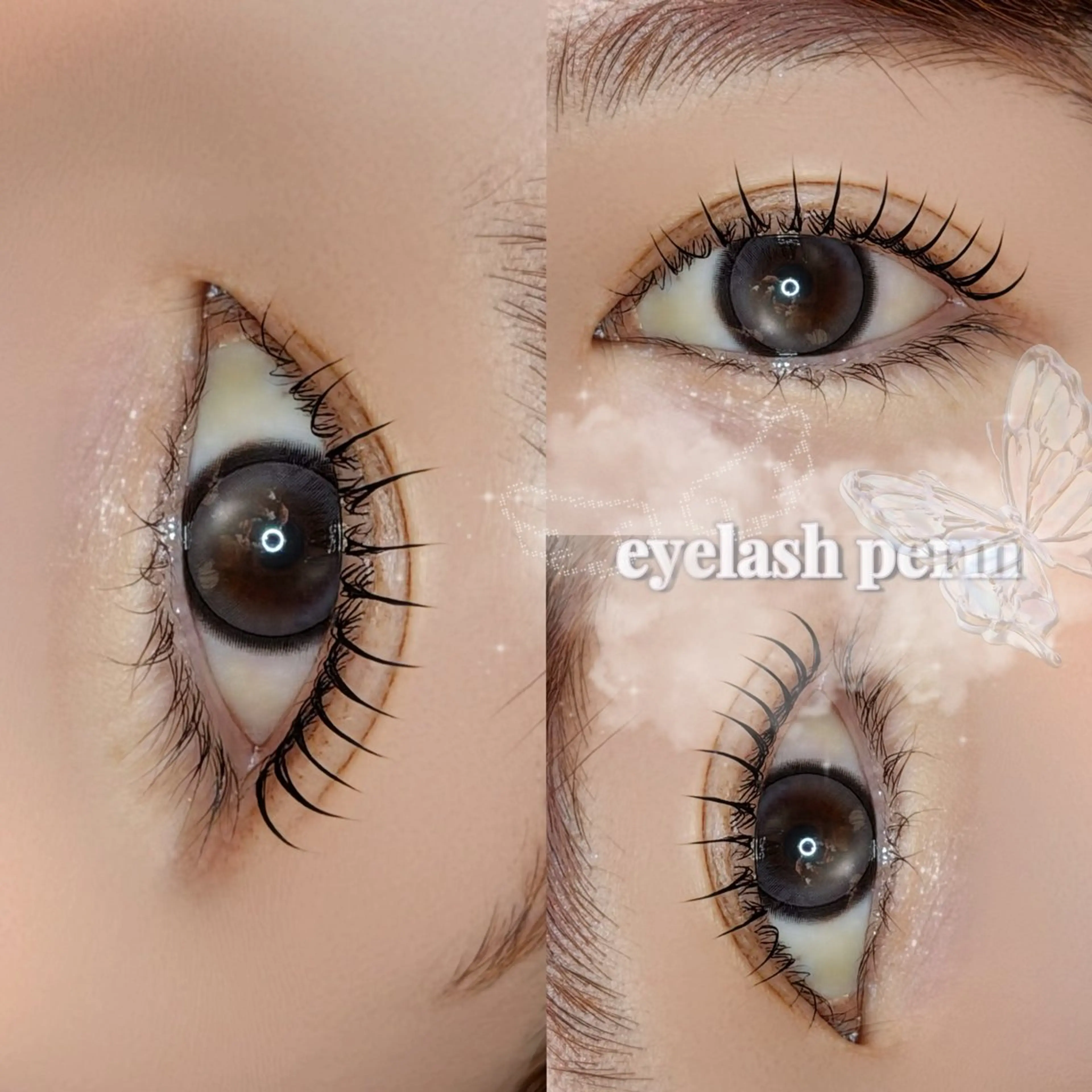 【4/14(火)限定価格💫】👀🤍 まつげパーマ (上)ケラチントリートメント付きの写真