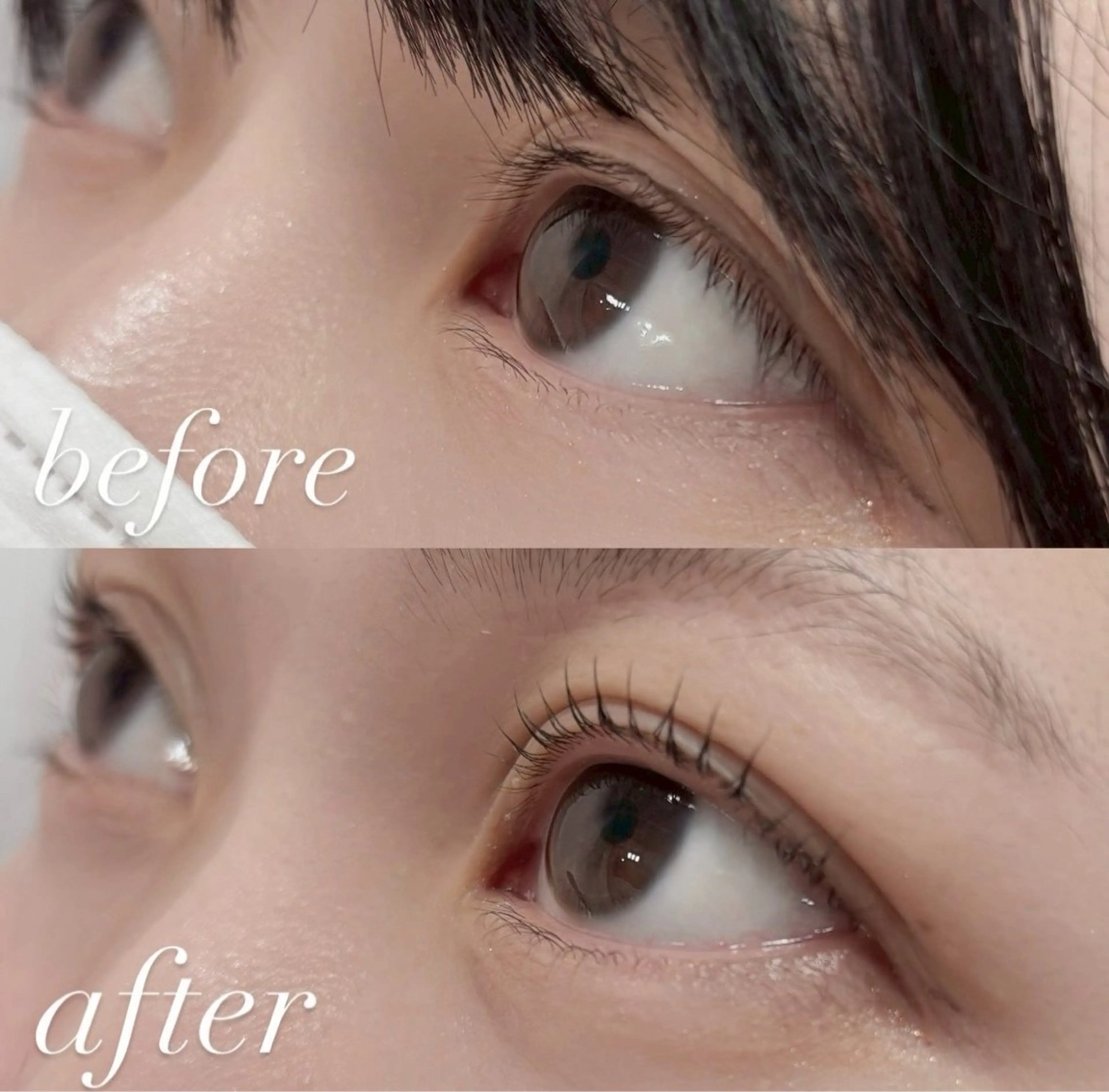 マツエク・マツパ カット トリートメント 🏵️tico@ Risa🏵️のエステ・リラクイメージ