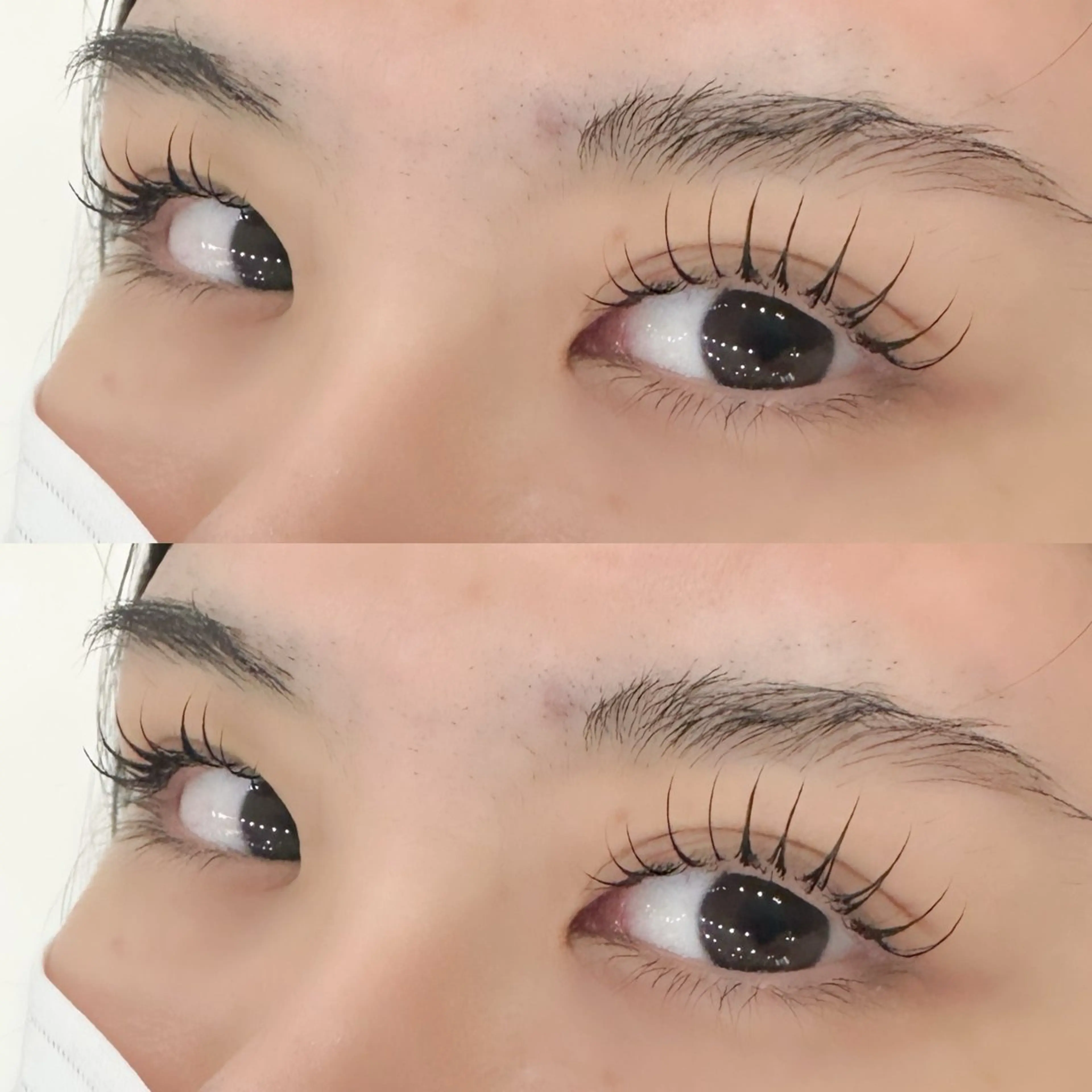 マツエク・マツパ マリーテレジア‎🩵 Maeokaのマツエク・マツパデザイン