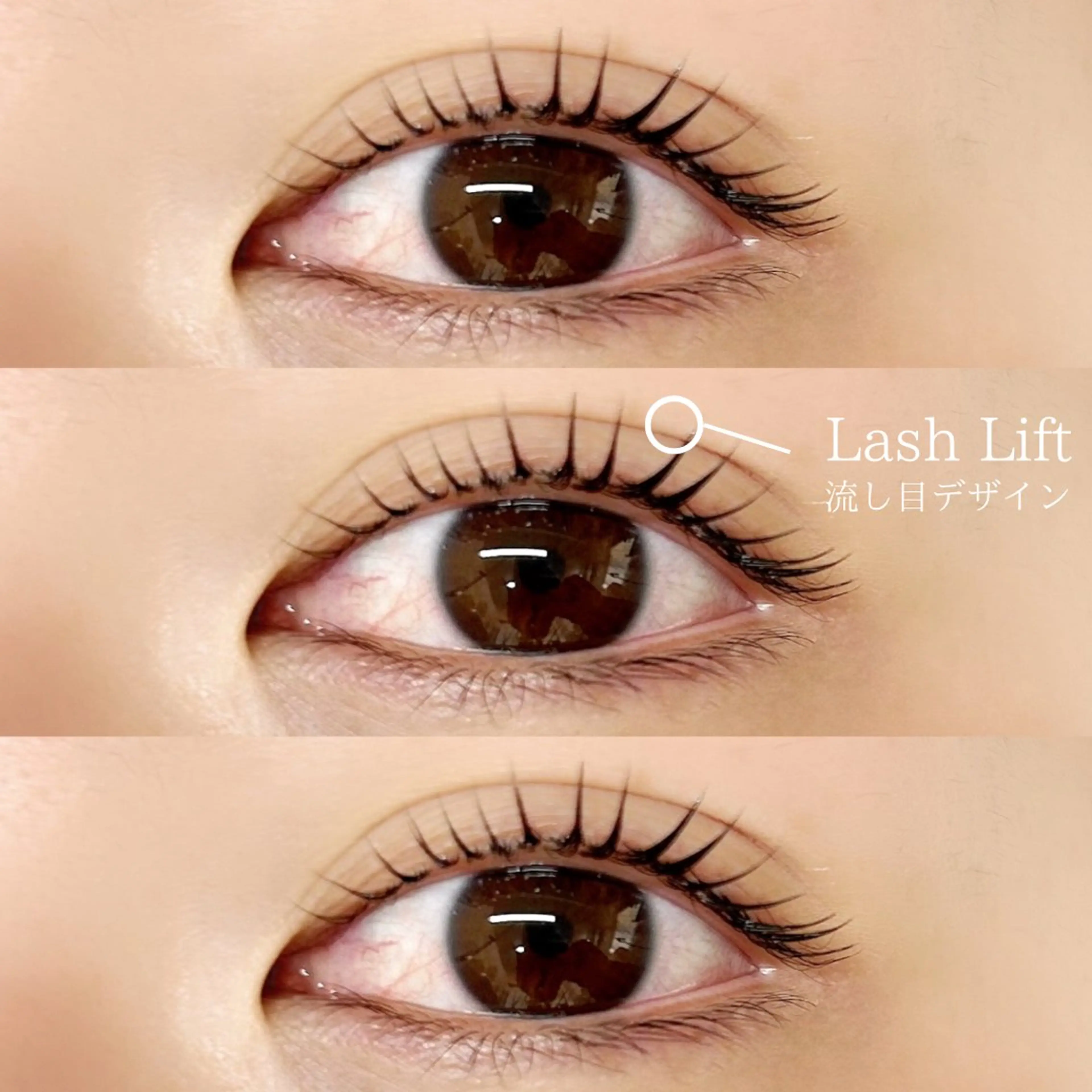 マツエク・マツパ REBOND K モデル募集のマツエク・マツパデザイン