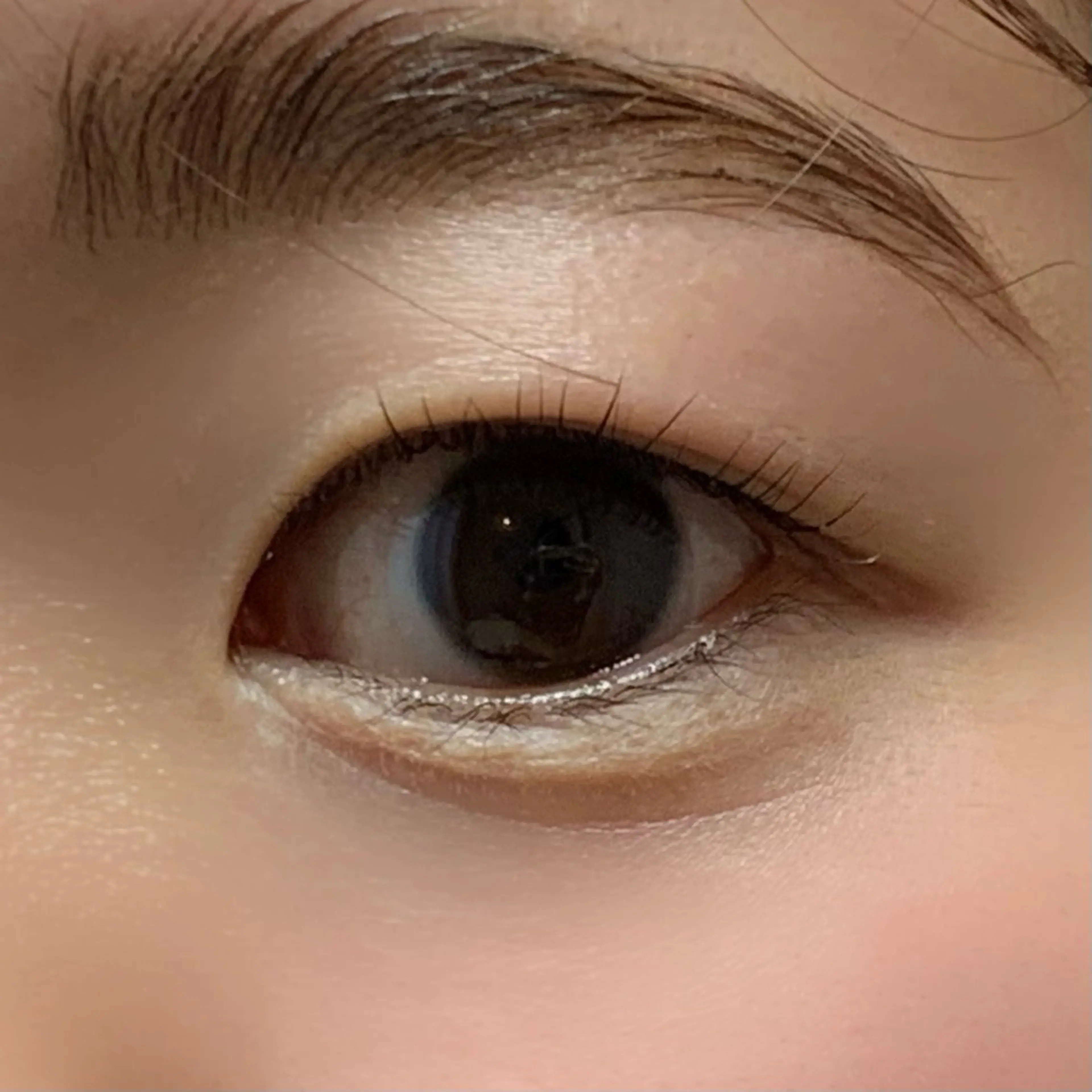 マツエク・マツパ 【ANEMONA】 NIHOのマツエク・マツパデザイン