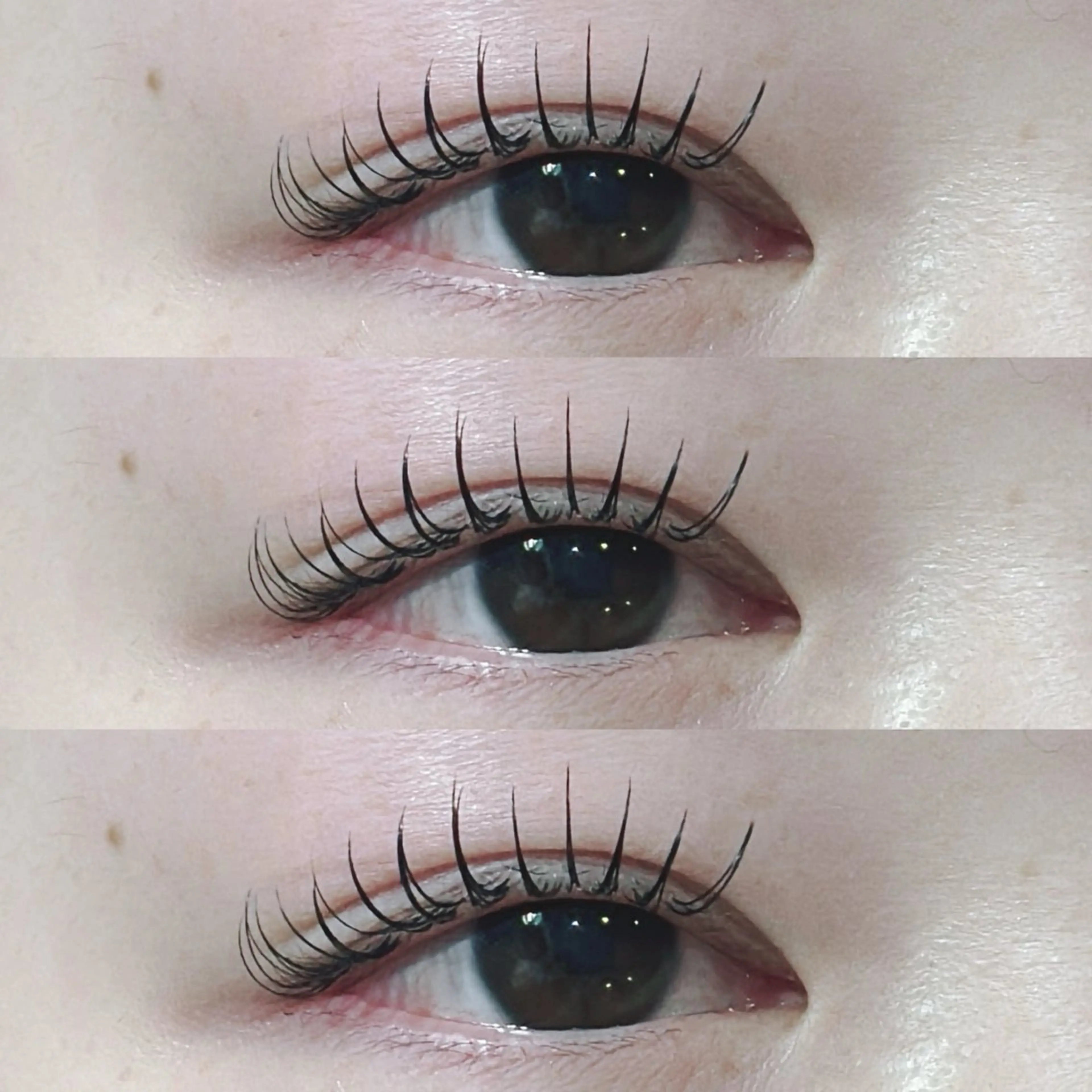 マツエク・マツパ マツエク August 大野のエステ・リラクイメージ