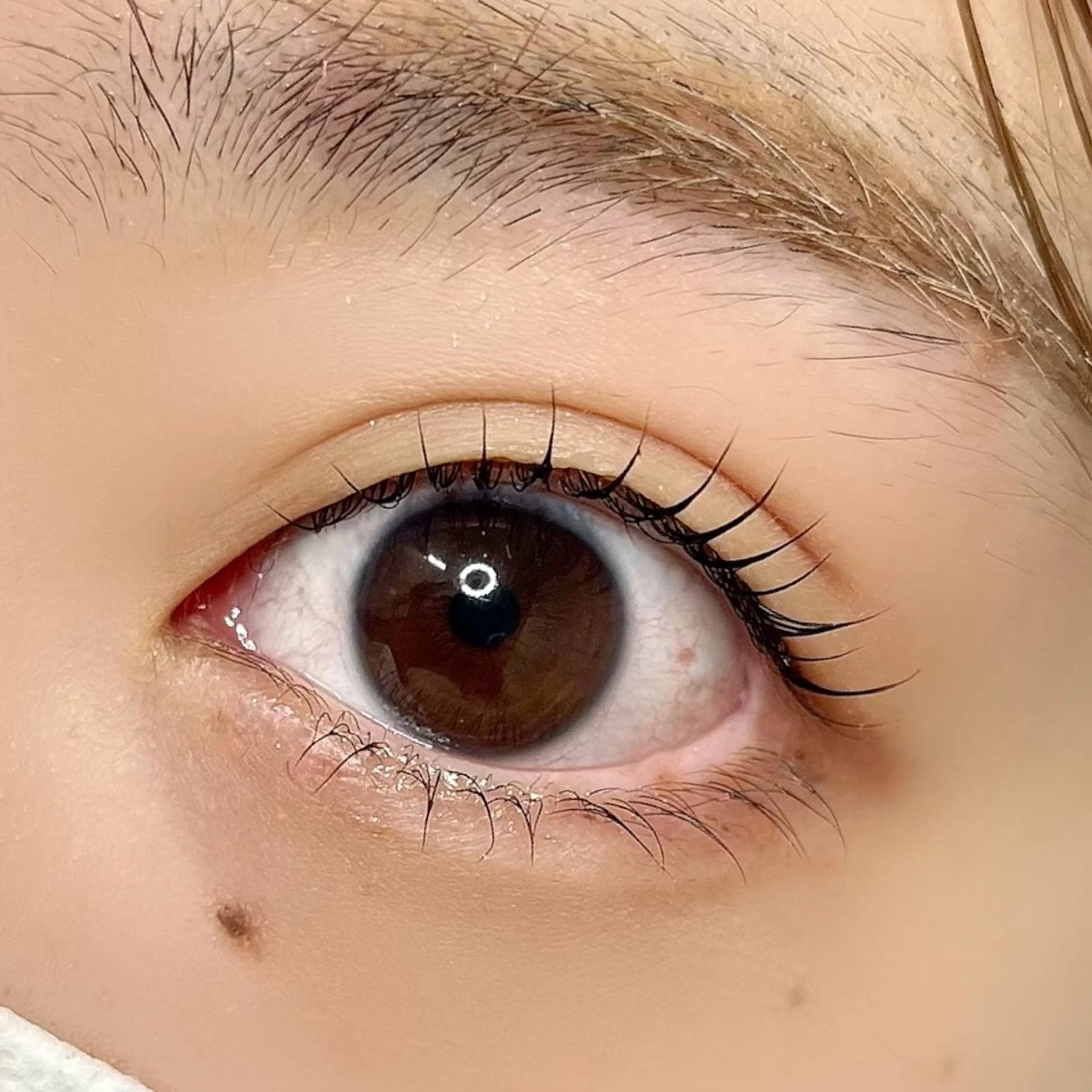 マツエク・マツパ Rediant 🌼 eyelashのマツエク・マツパデザイン