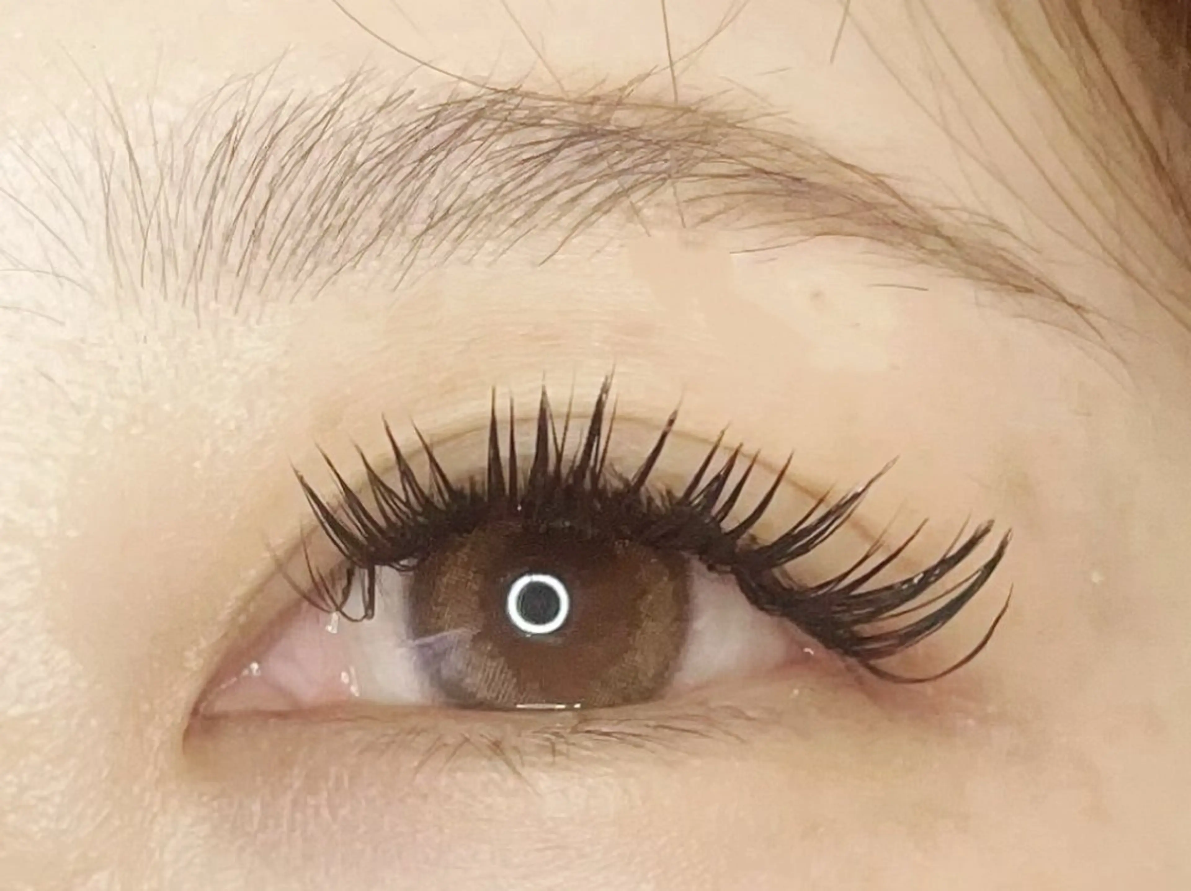 4月限定！！【初回】ダブルフラット🍊オフ込み🍊140束🍊の写真