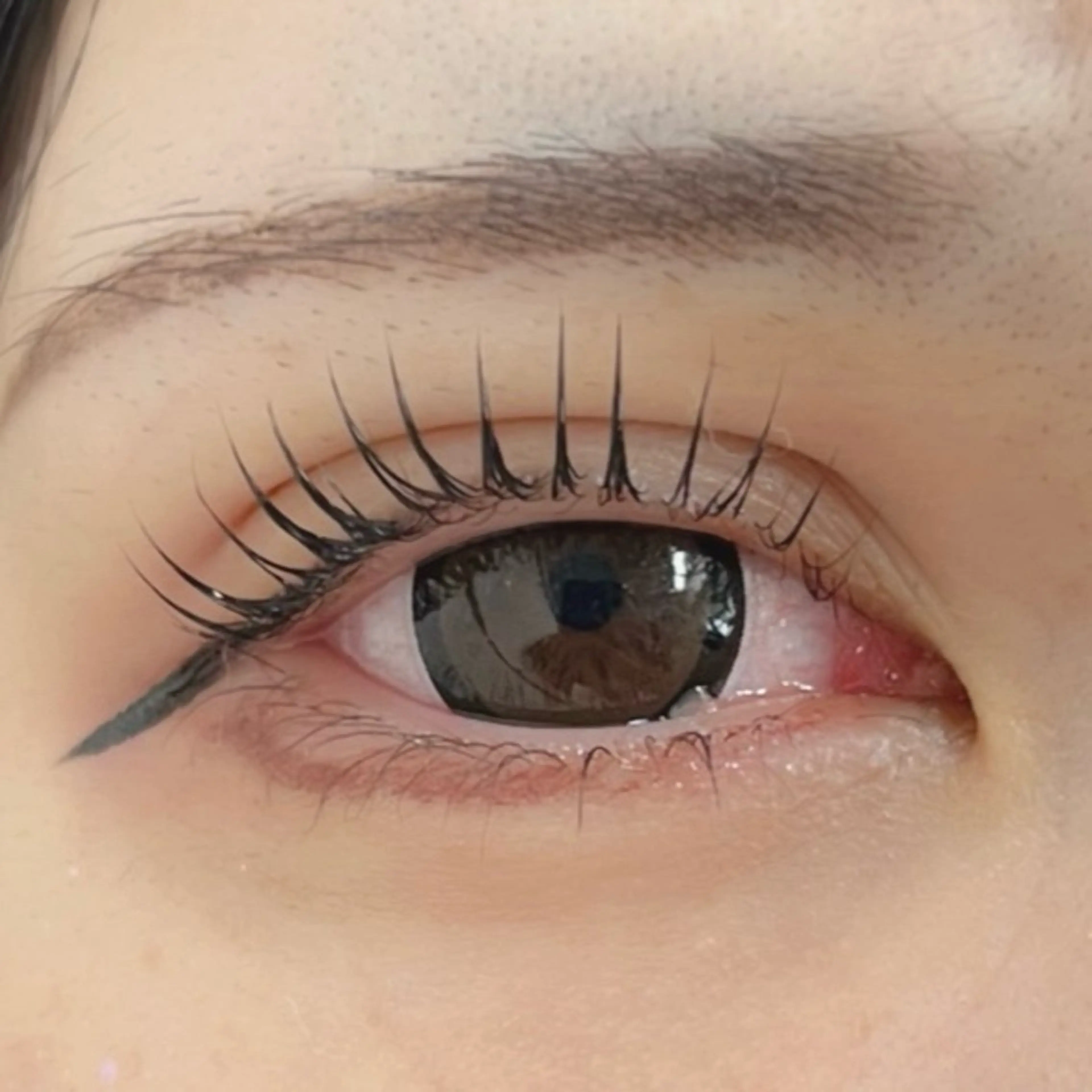 マツエク・マツパ マツパ Moe/韓国風/ 束感/キュート❤︎のマツエク・マツパデザイン