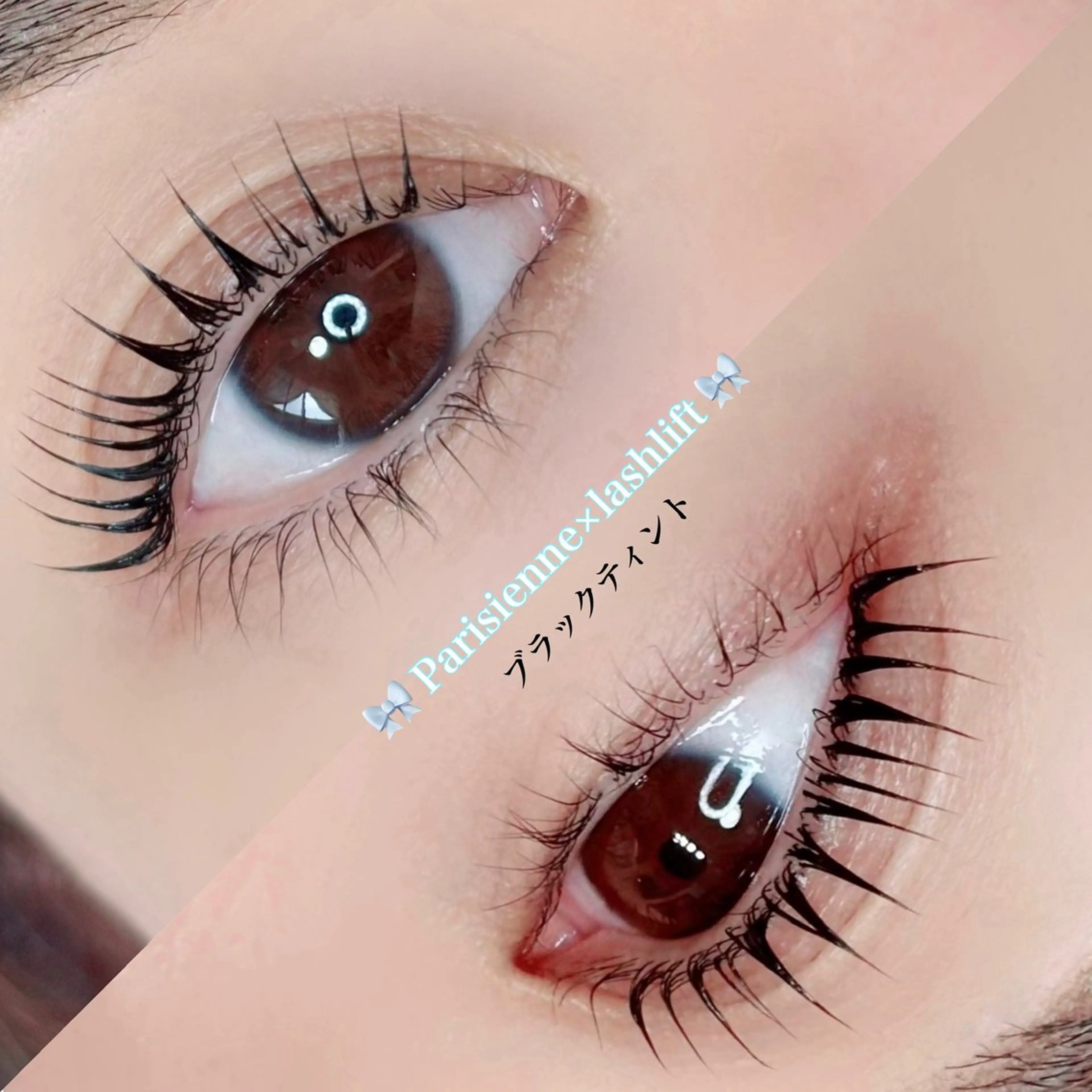 ãããšã¯ã»ããã Ciel ãŸã€ãããŒãå°éåºæå±ã»Ciel ãŸã€ãããŒãå°éåºã®ãããšã¯ã»ããããã¶ã€ã³