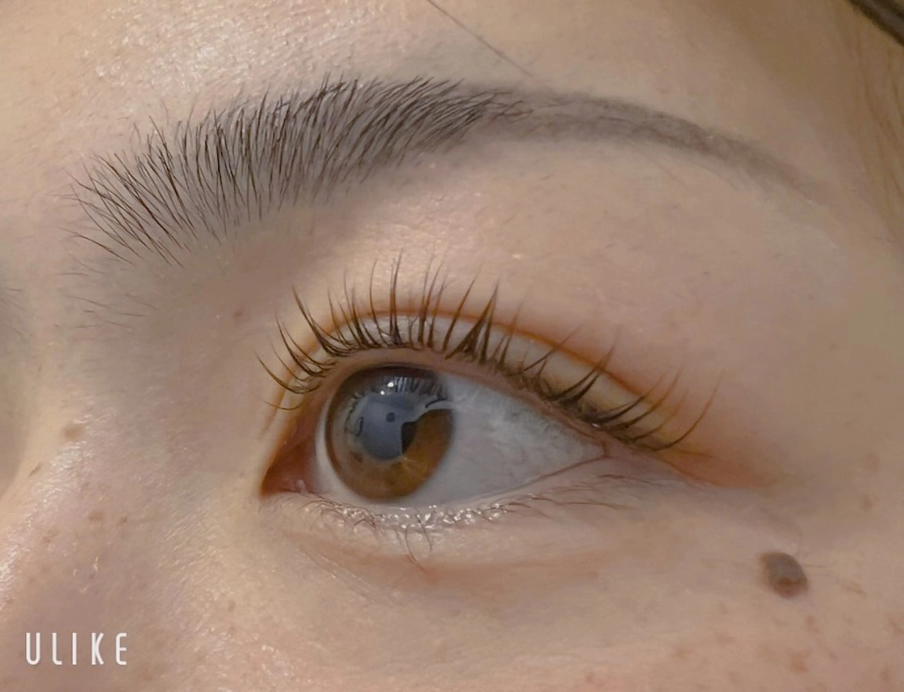 マツエク・マツパ YUUGA /横浜/個室‎🤍のマツエク・マツパデザイン