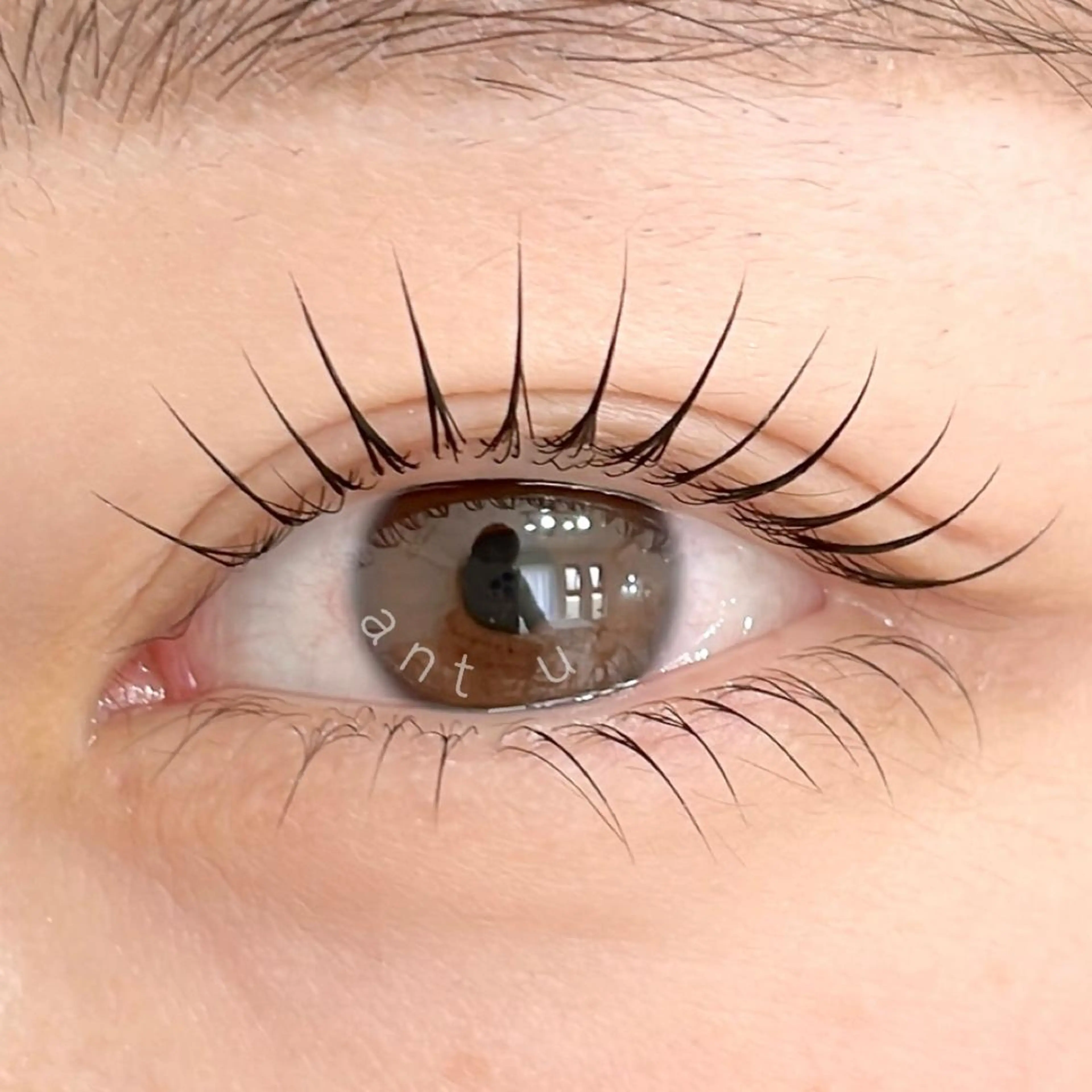 マツエク・マツパ ant_u🌷 arisaのマツエク・マツパデザイン