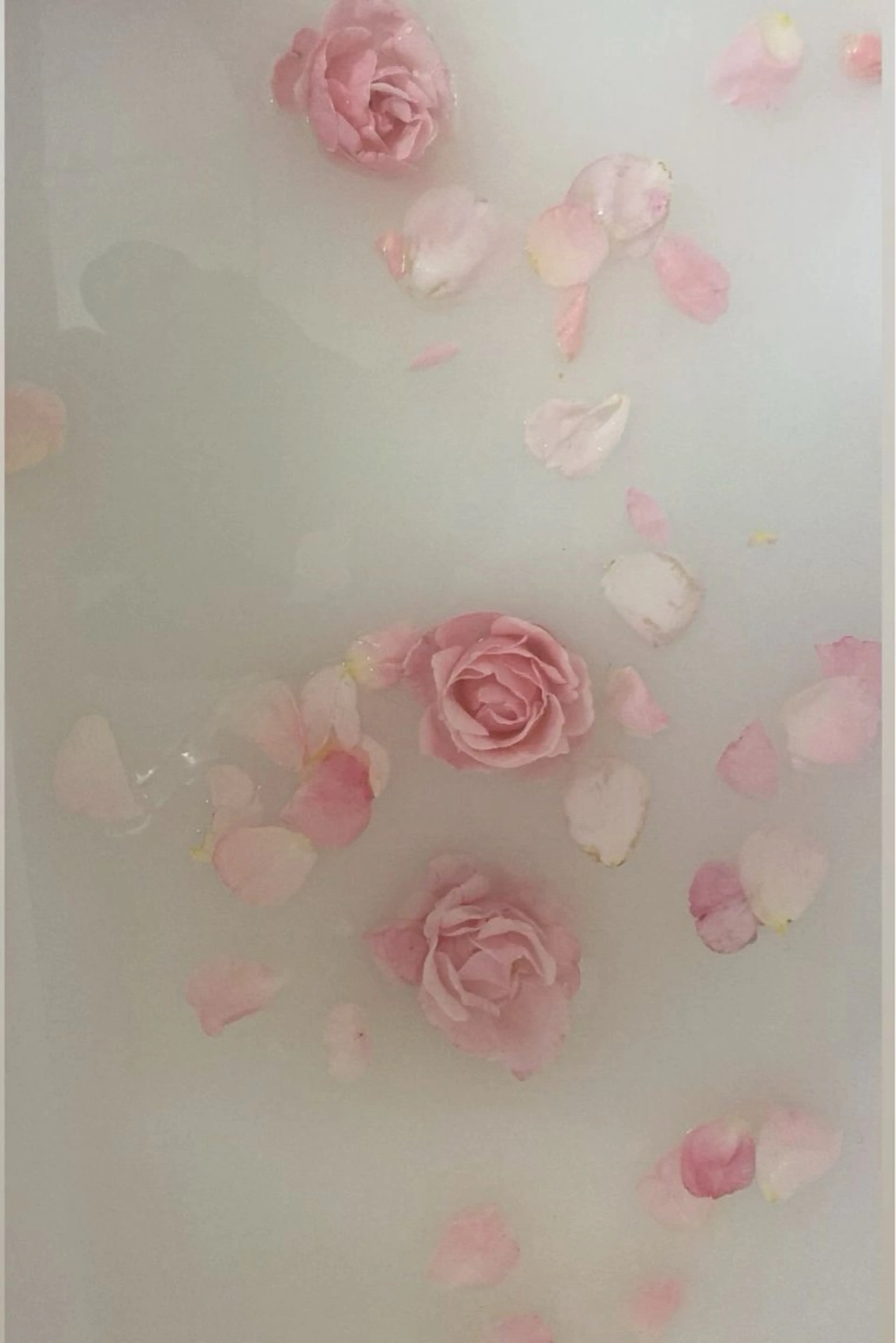 8️⃣  ˚*.꒰ 限定♡ ウルトラファインバブルset  ꒱.*˚ 大人モテ×定額artコース全8種類🎀🤍の写真