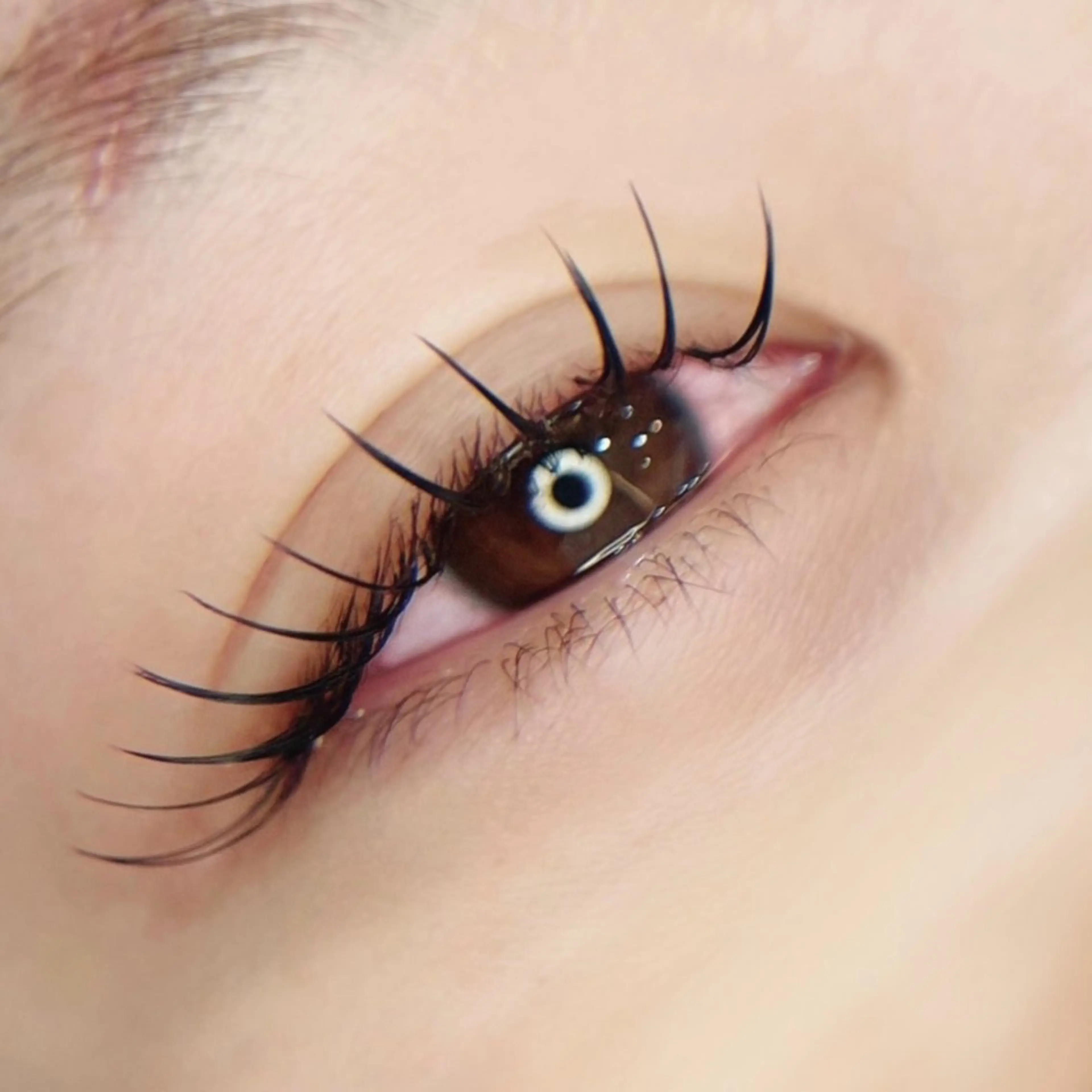 マツエク・マツパ 束感まつ毛 フラットラッシュ CERRONE eyelash岩村のマツエク・マツパデザイン