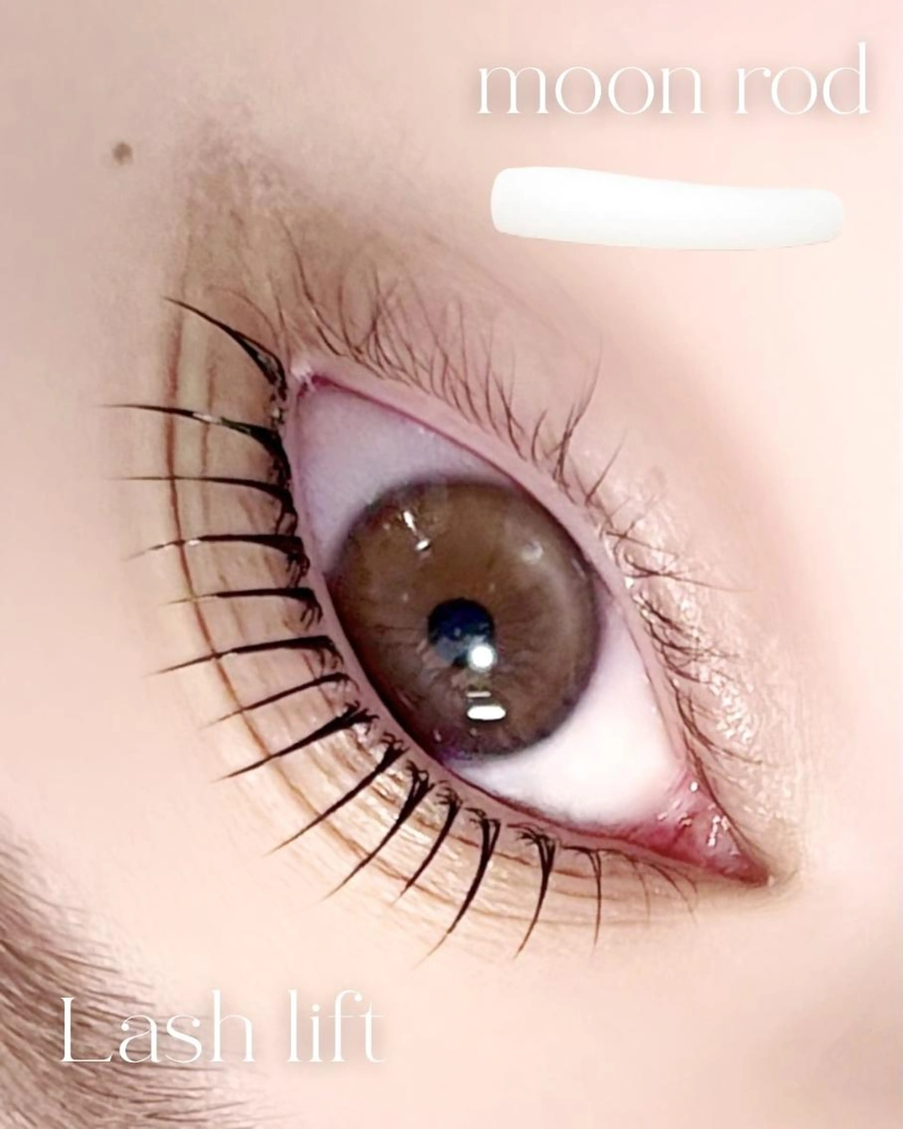 選べるまつ毛パーマ🤍パリジェンヌorラッシュリフトorまつげカール※土日祝+500円の写真