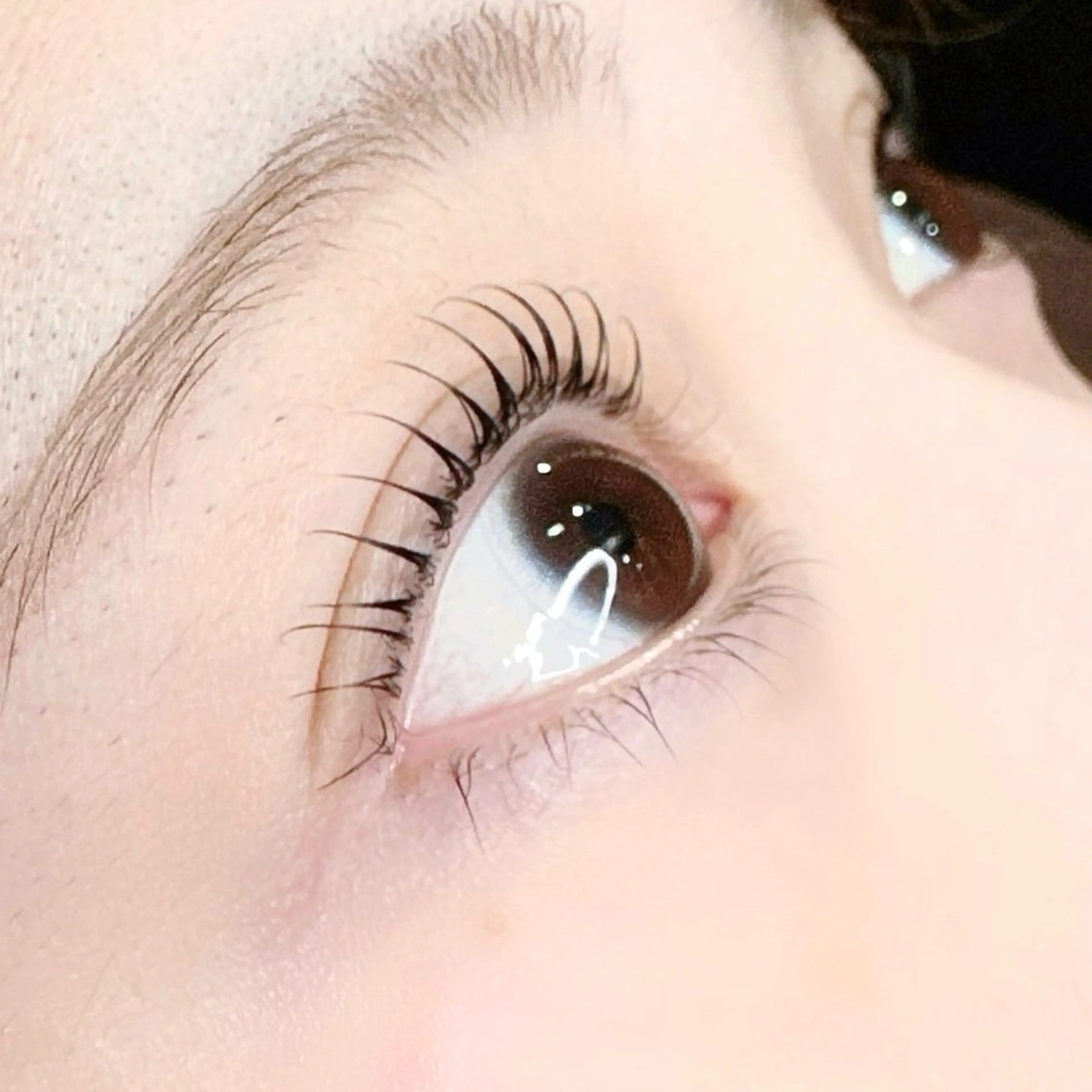 マツエク・マツパ ナチュラル まつげパーマ 🎀kirari .のマツエク・マツパデザイン