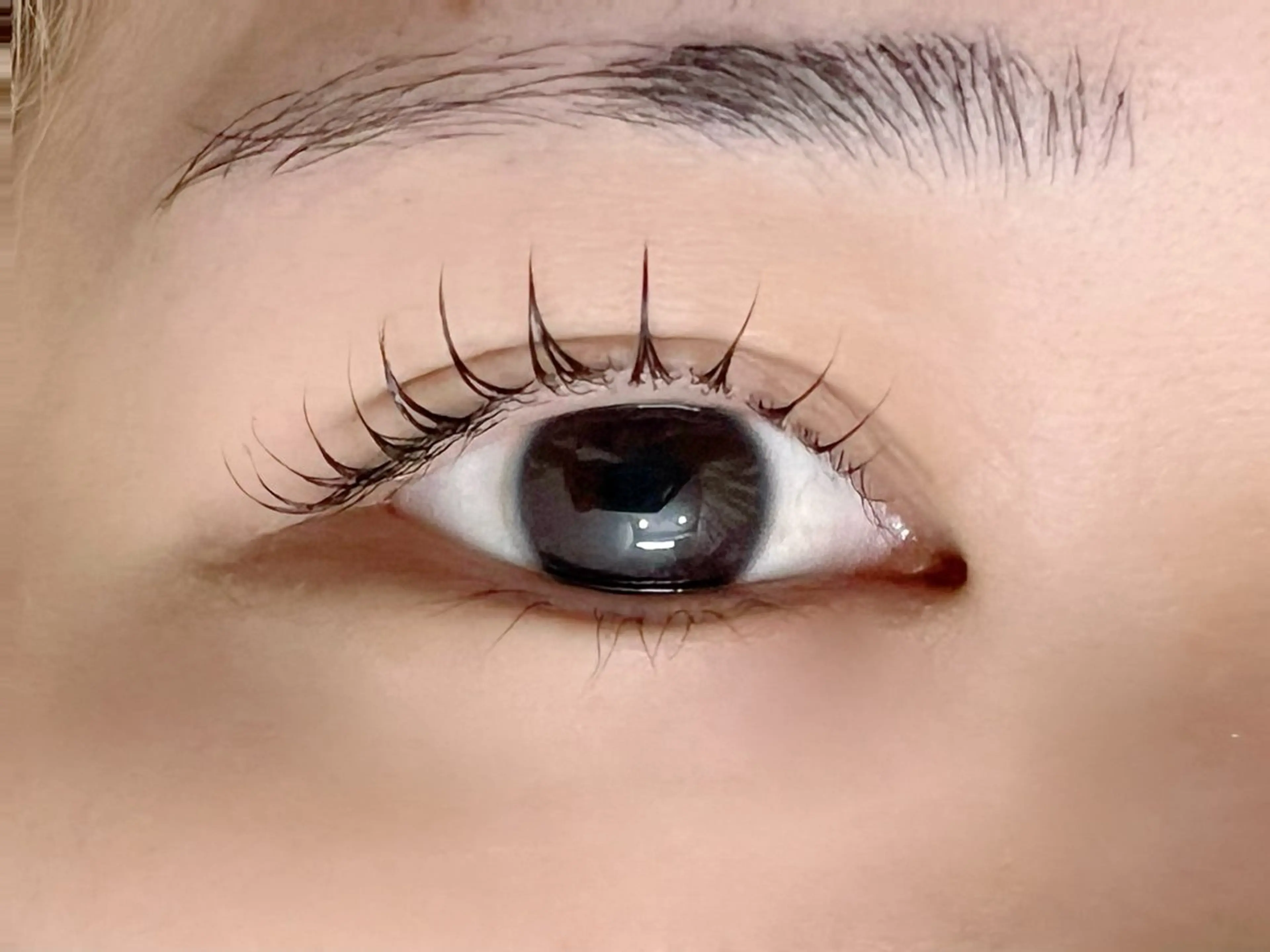 マツエク・マツパ PROSOLrita 西風新都のマツエク・マツパデザイン