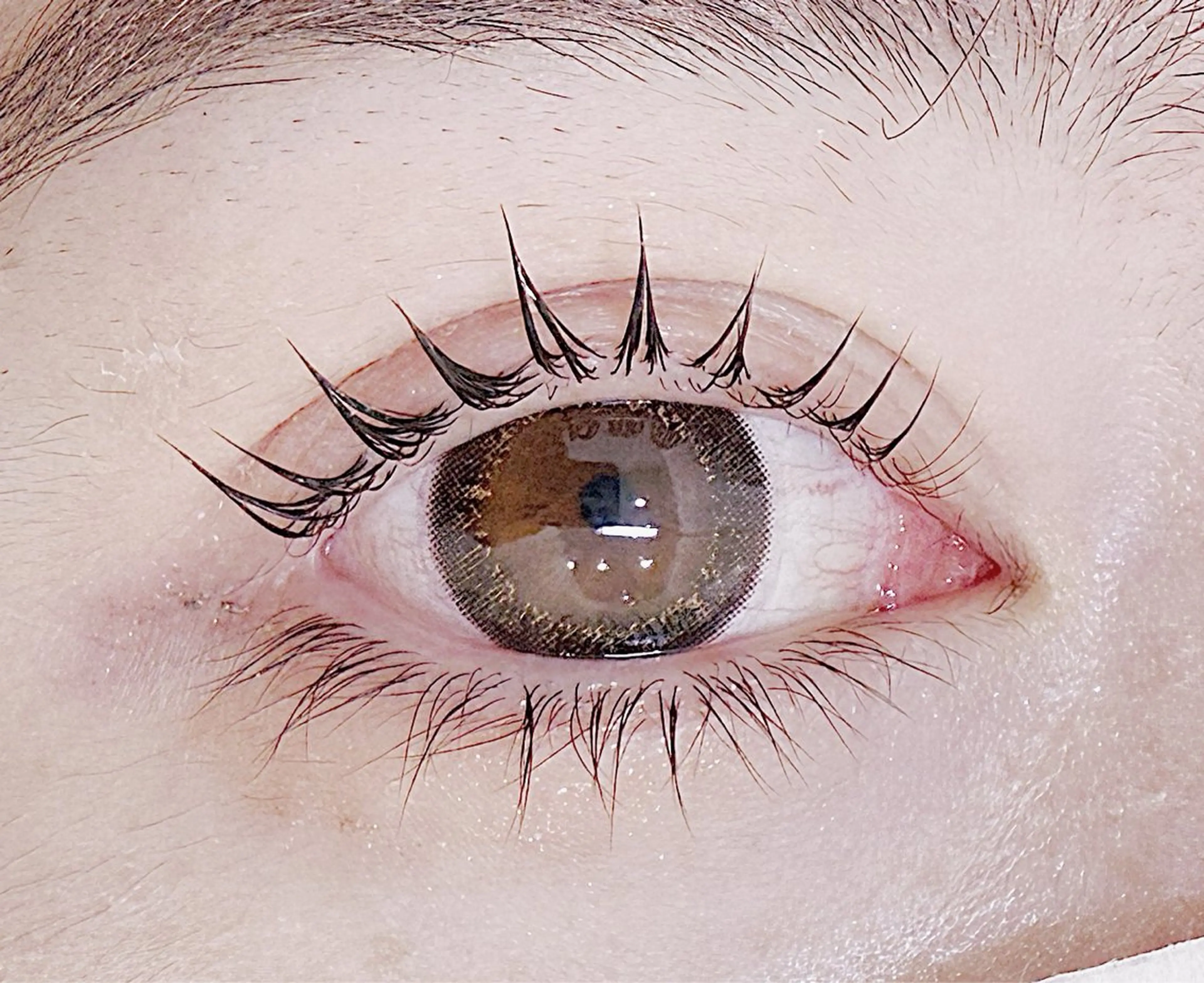 本日限定【上下】小顔まつげパーマ☆¥11000→¥5500の写真