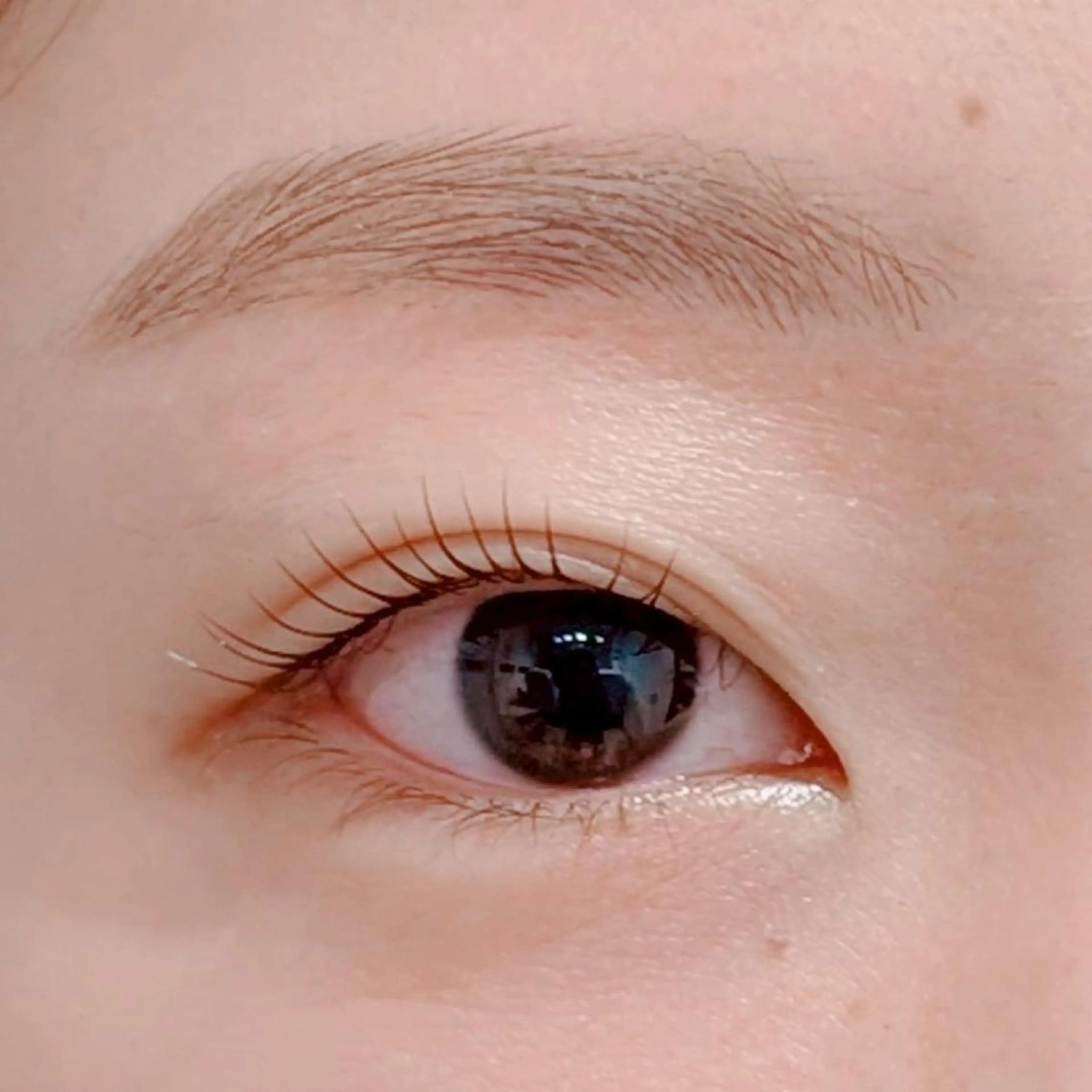 マツエク・マツパ 束感まつ毛 フラットラッシュ 韓国風マツエク まつげパーマ マツパ Biolus／天王寺 本店 🔸YUI🔸のマツエク・マツパデザイン