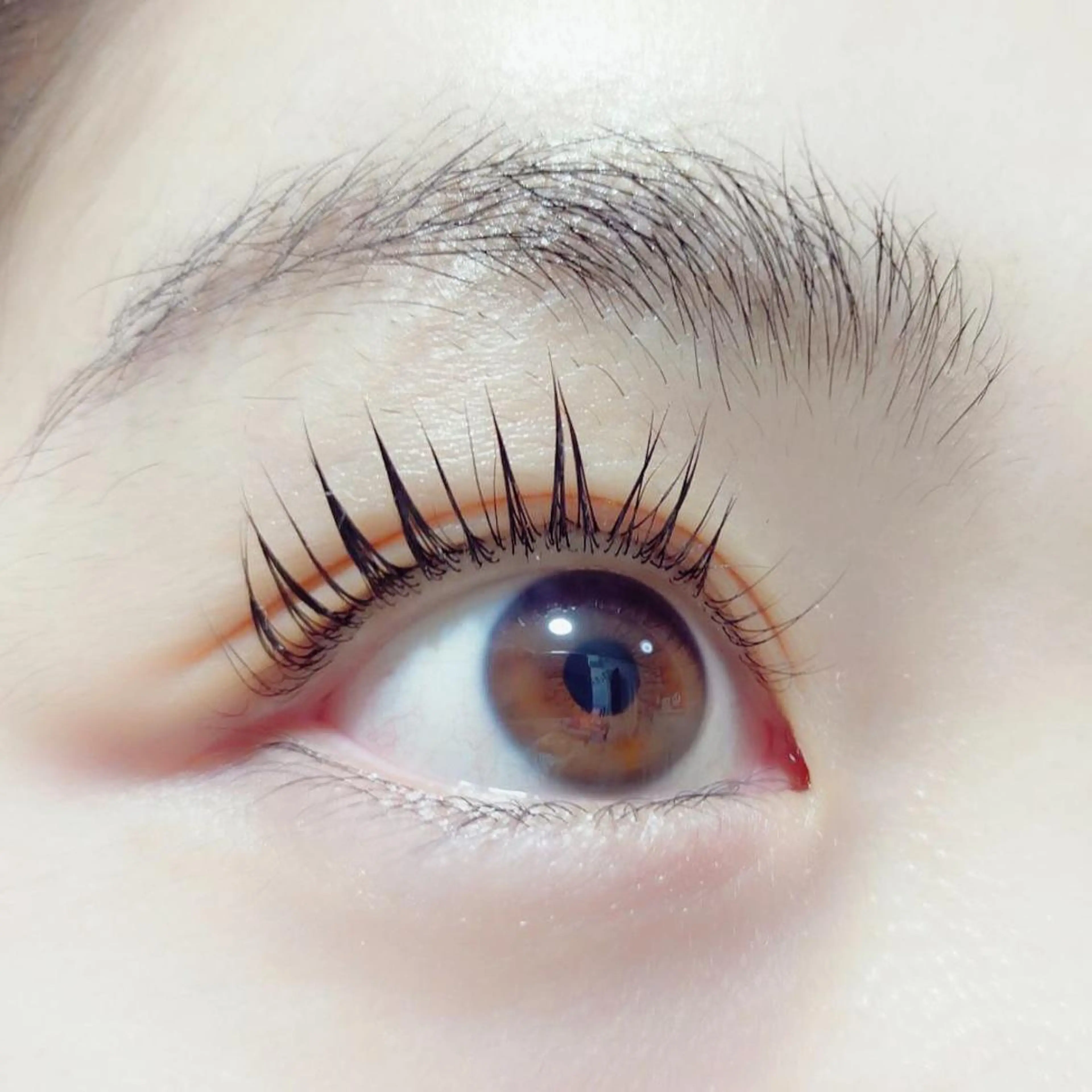 パーマ マツエク・マツパ INS Beauty Aliceのマツエク・マツパデザイン