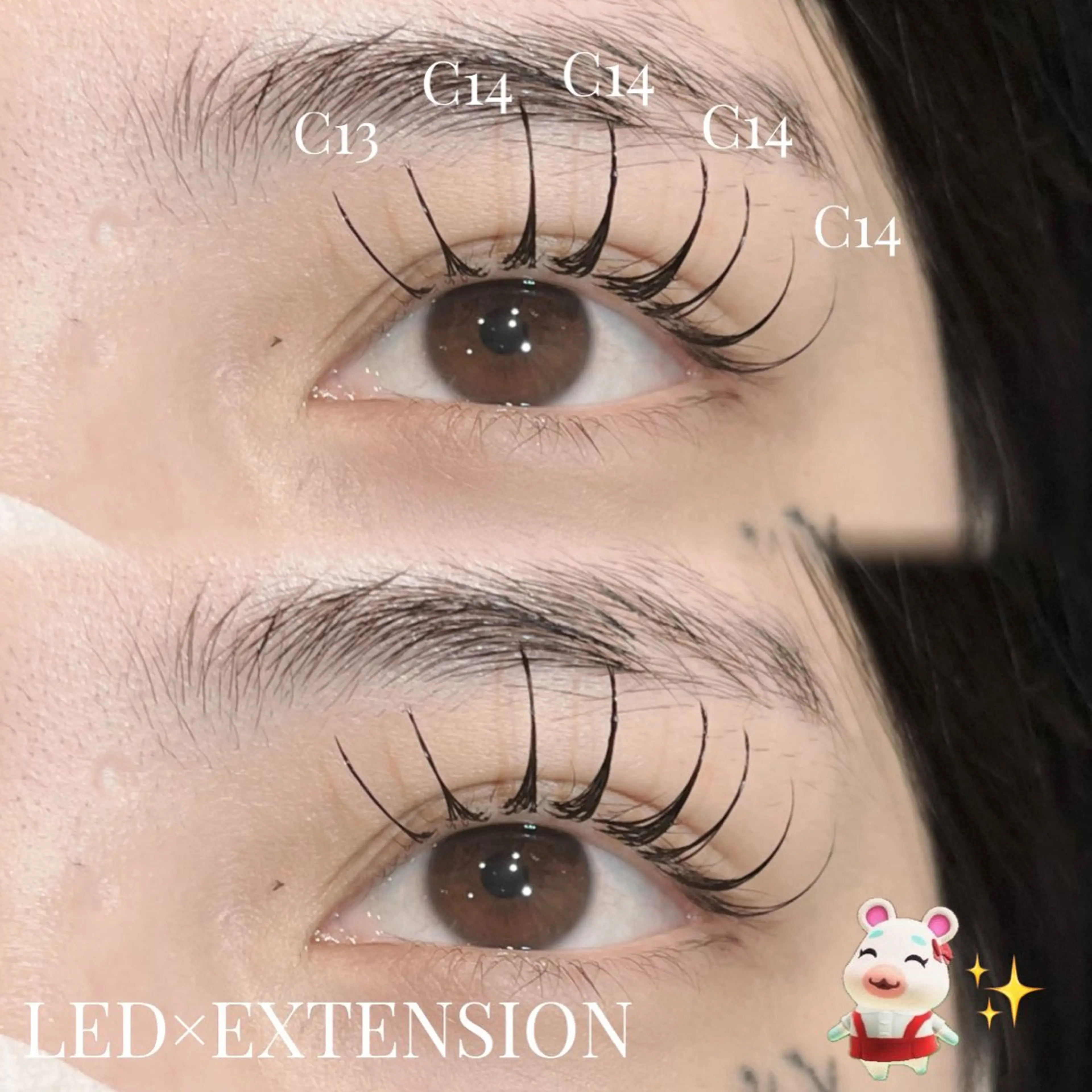 マツエク・マツパ フラットラッシュ マツエク yume ⋆꙳𝜗𝜚꙳.*‬のマツエク・マツパデザイン