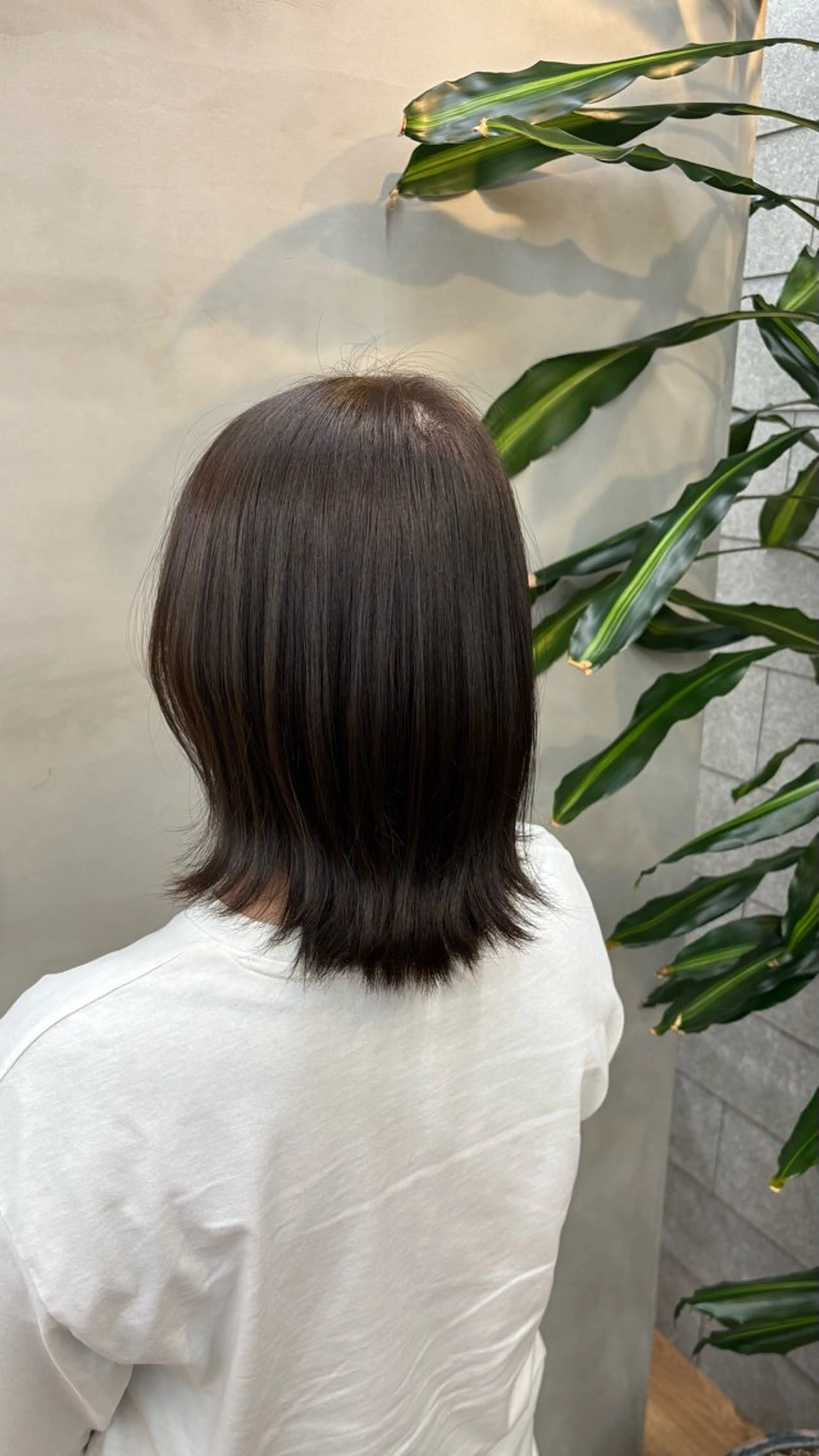 ミディアム 古川 咲衣のヘアスタイル