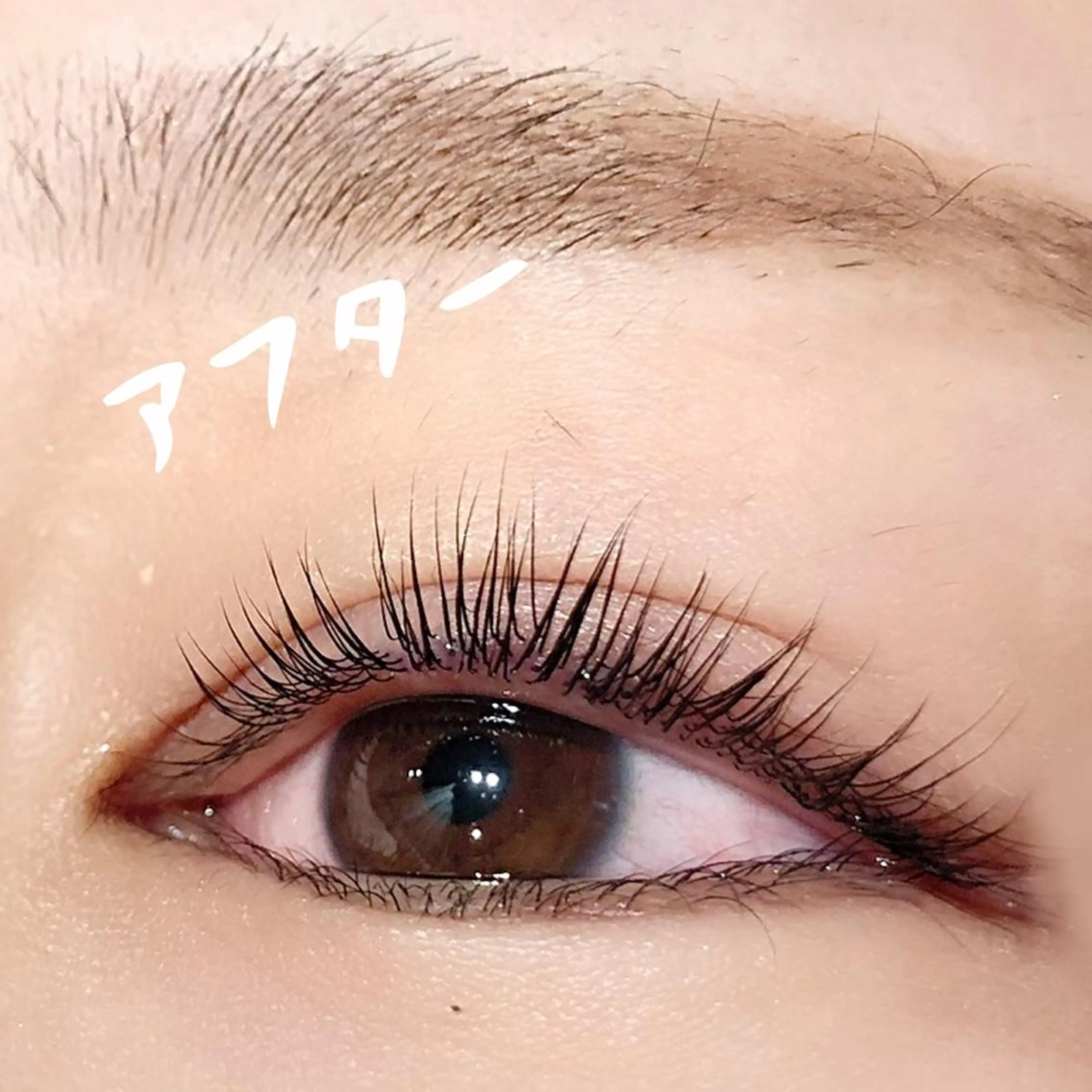 マツエク・マツパ まつげパーマ マツパ 大阪福島韓国束感まつ げ Sayaka🤍のマツエク・マツパデザイン