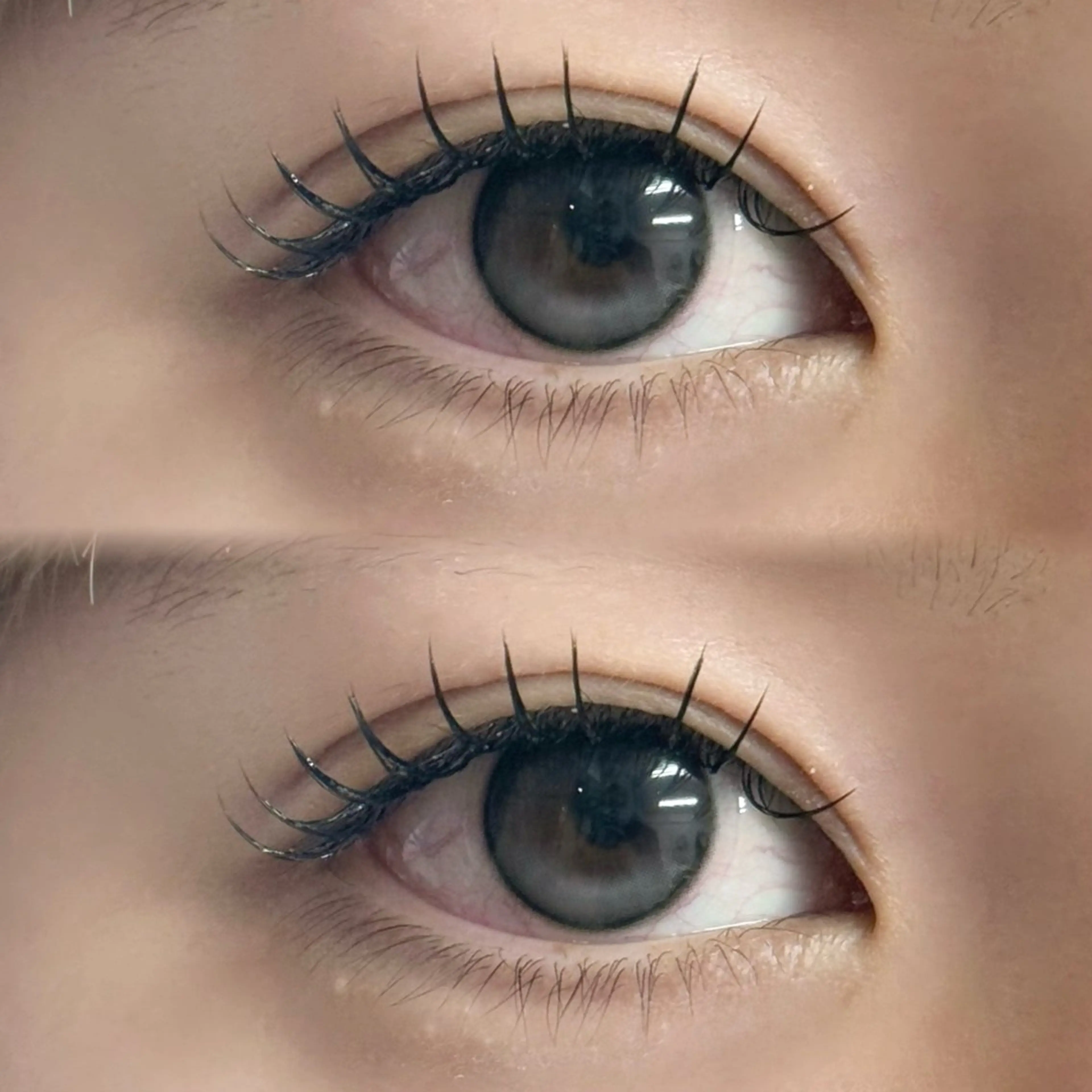 マツエク・マツパ フラットラッシュ マツエク 鈴木🍒 韓国風/束感⋆꙳のマツエク・マツパデザイン