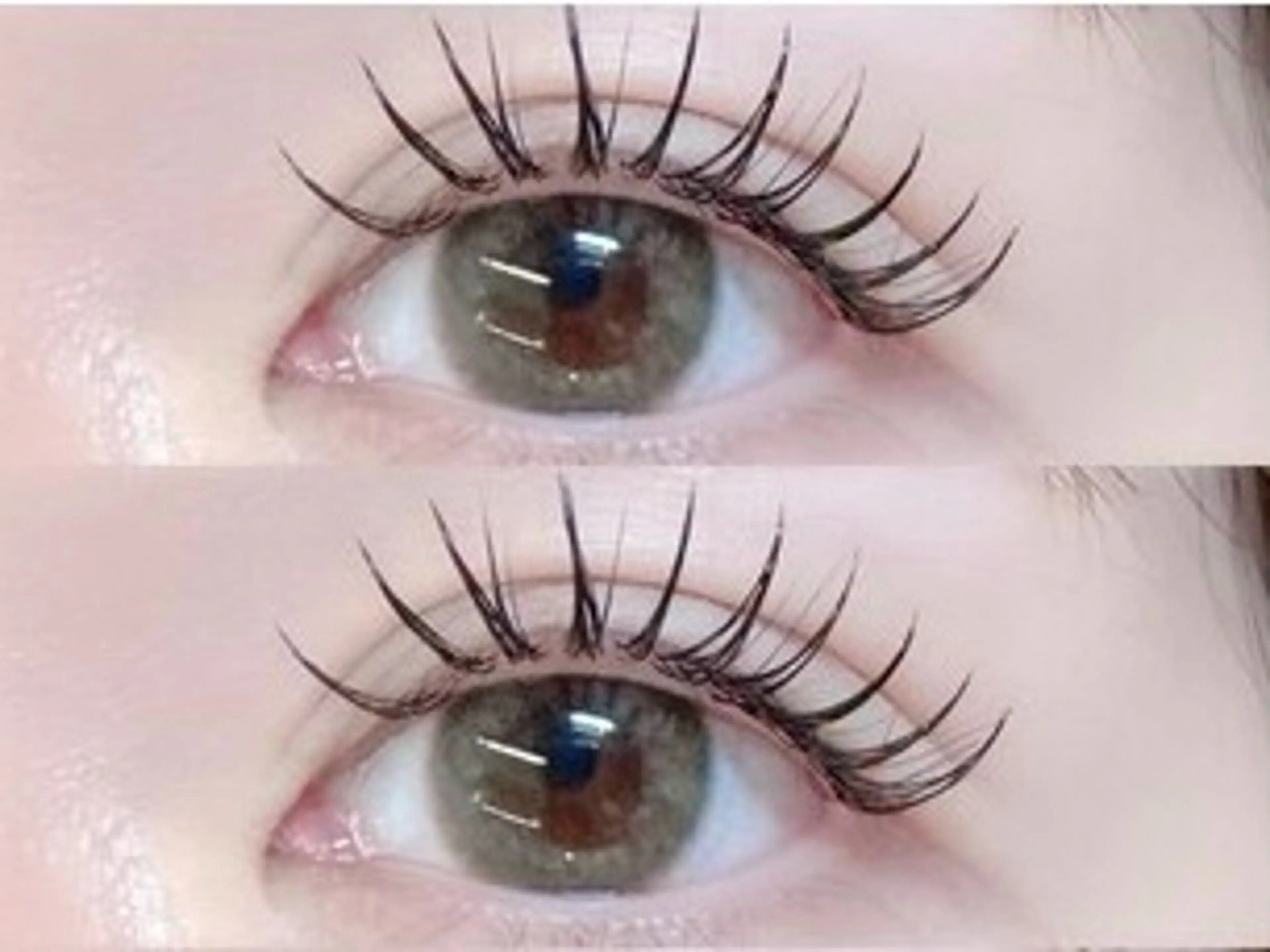 💗大特価🙌🏻☘️新規様☘️ 🧚🏻♀️フラットラッシュ120本オフ込の写真