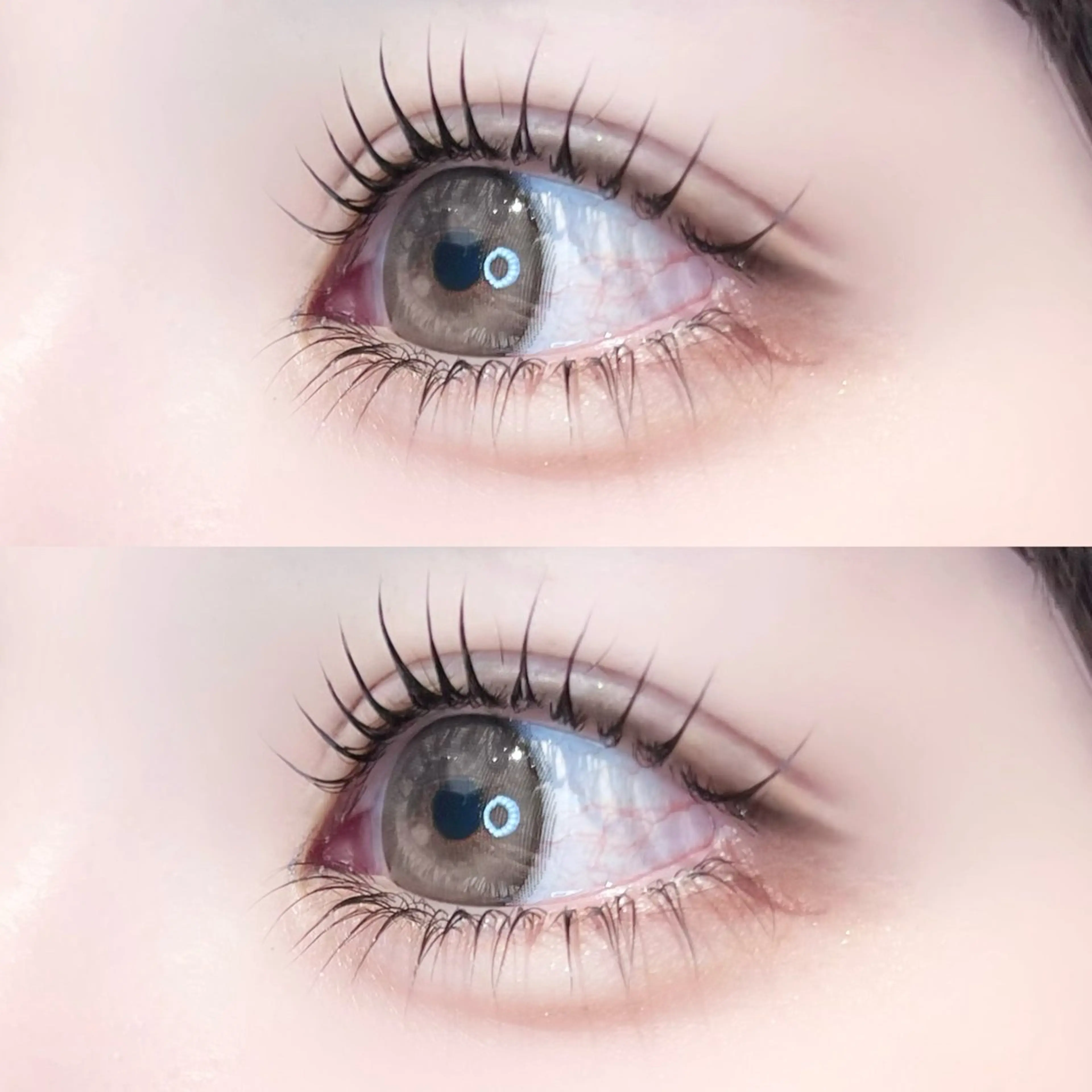 束感ラッシュリフト(上下) 🧸美容液仕上げ込の写真