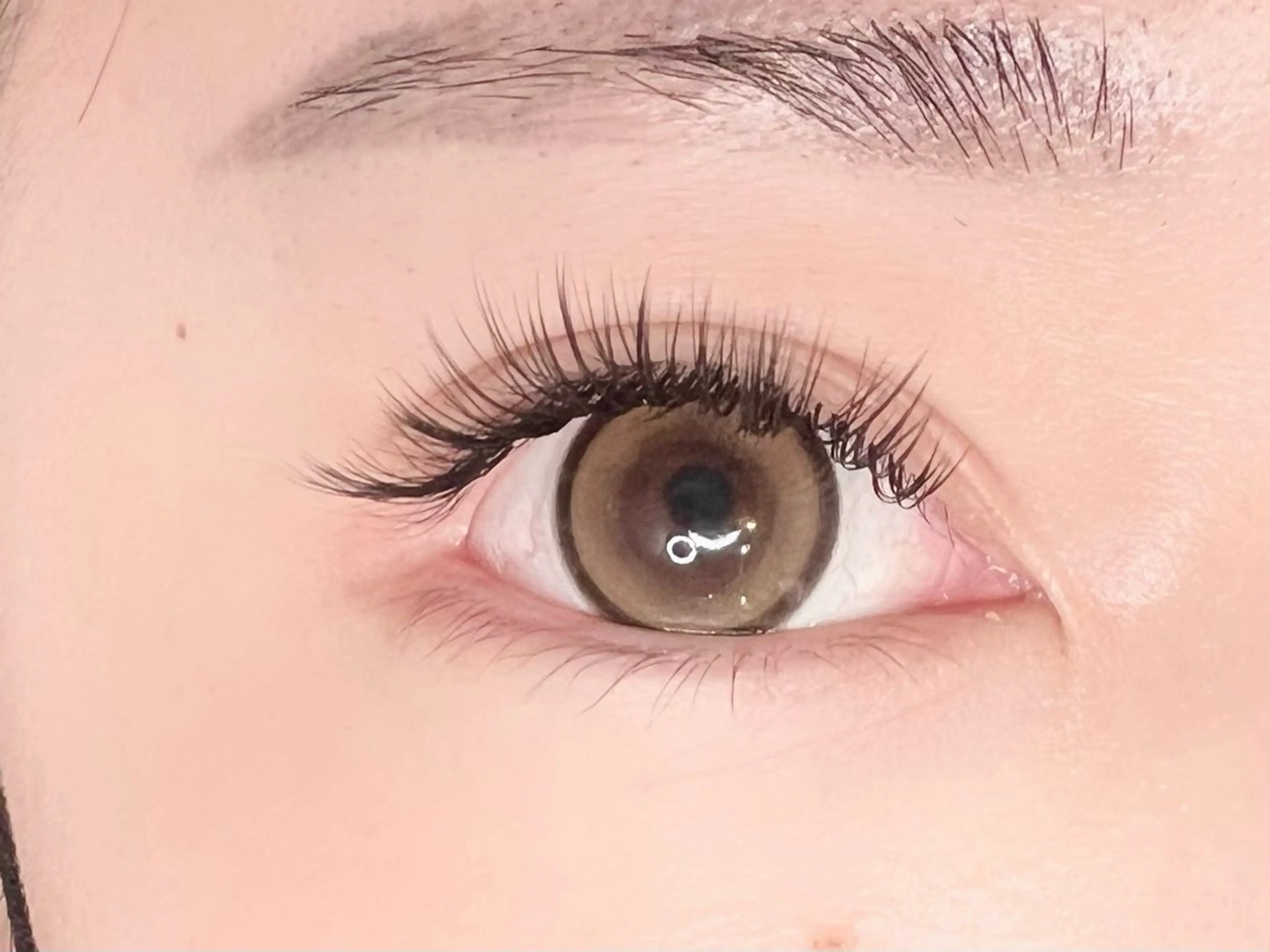 バインドロック80束の写真