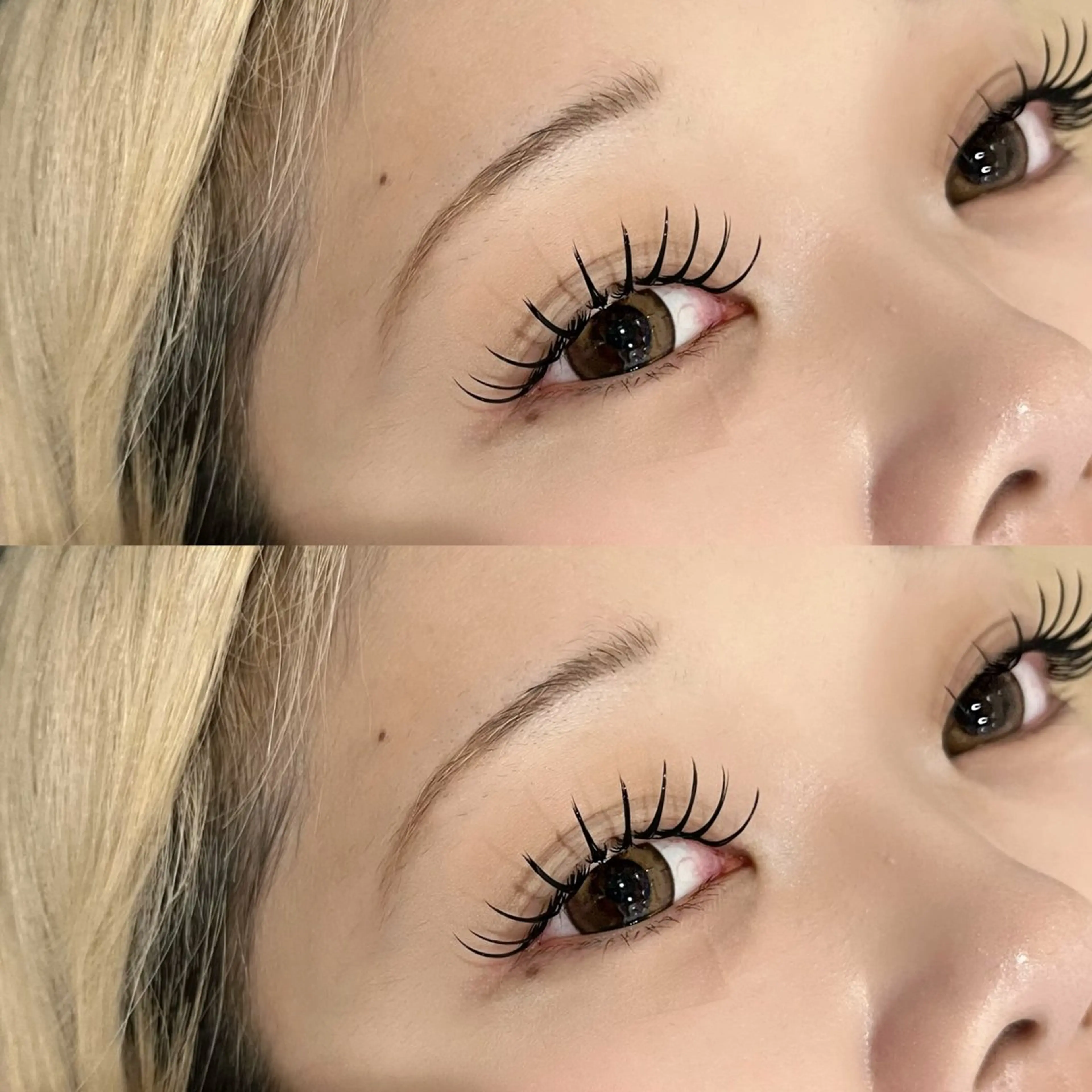 【存在感のあるまつげに🫧】バインドロックor Wフラットラッシュ６０束🎀の写真