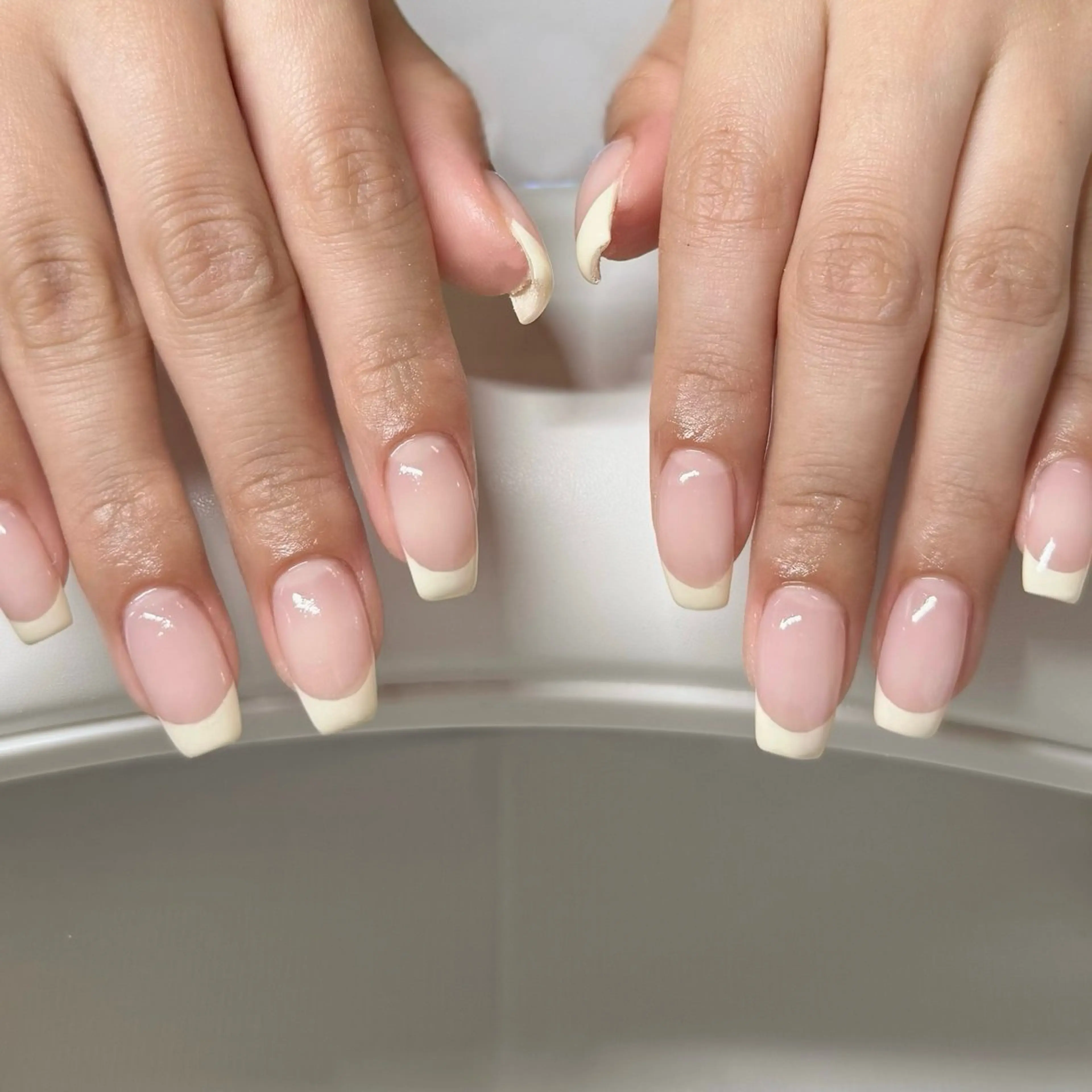 〈オフあり〉フレンチの写真