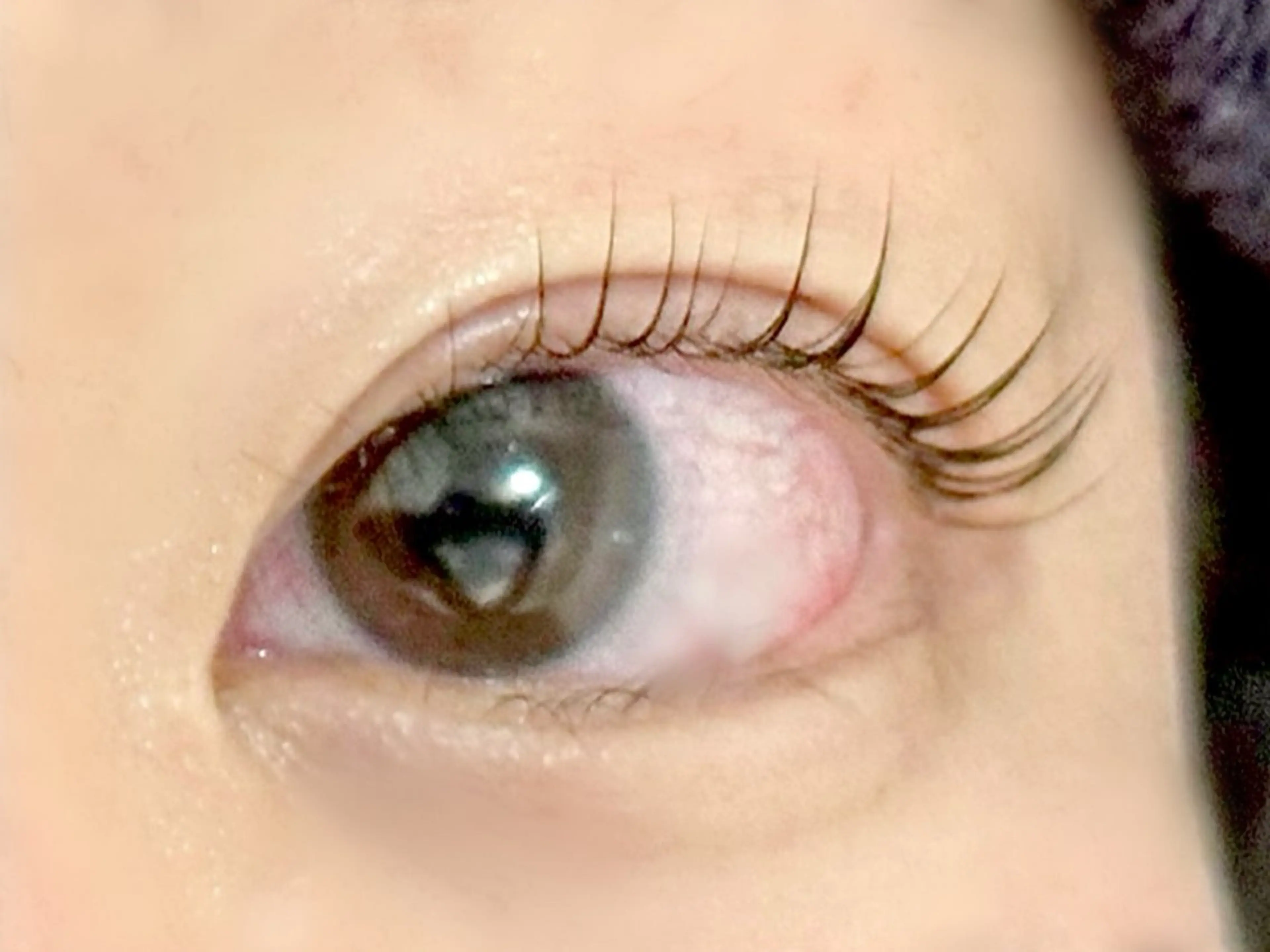 🦭パリジェンヌラッシュリフト※上まつ毛限定の写真