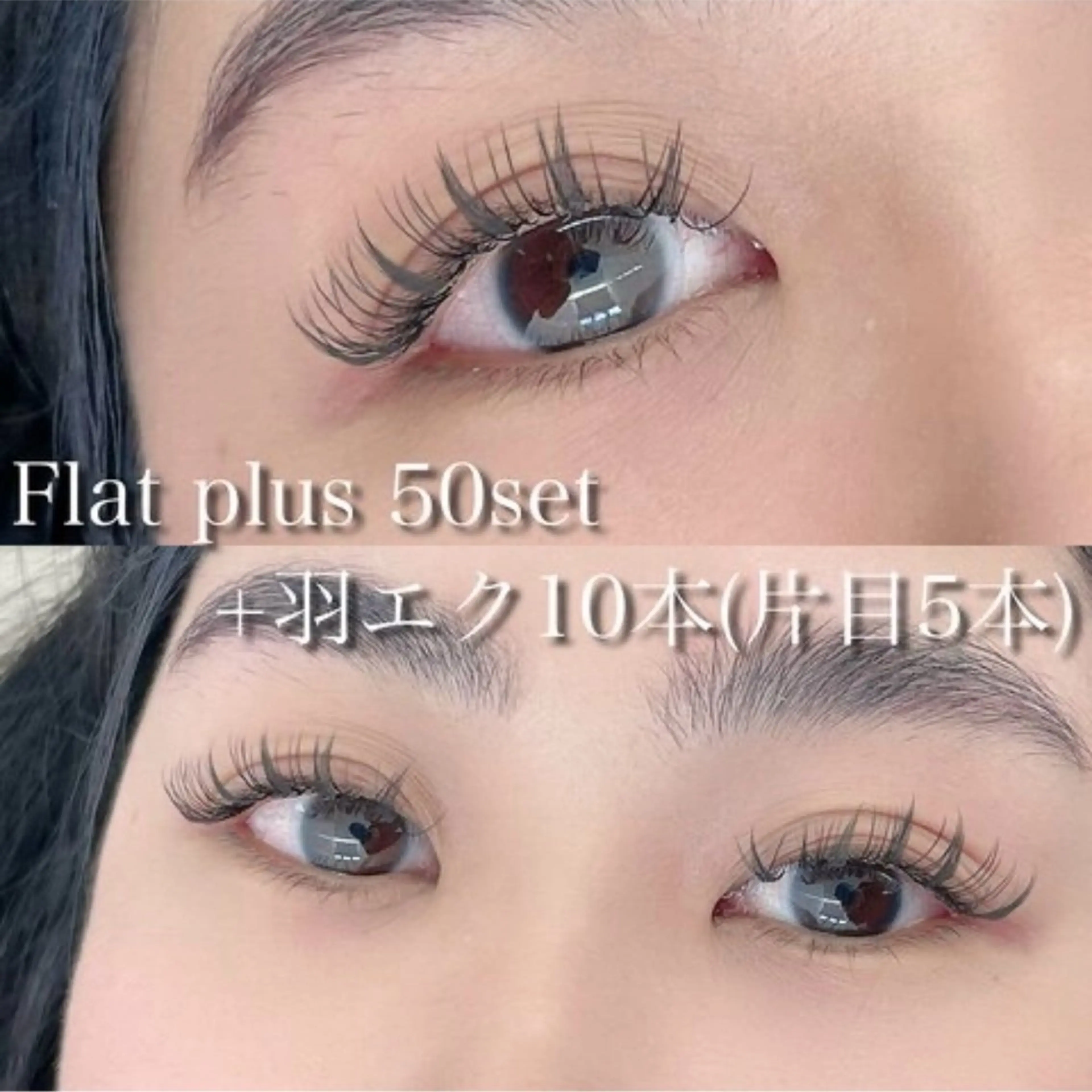 【無料】羽エクステ10本×Flatplus50set(フラットラッシュ100本分) モデル募集🌟の写真