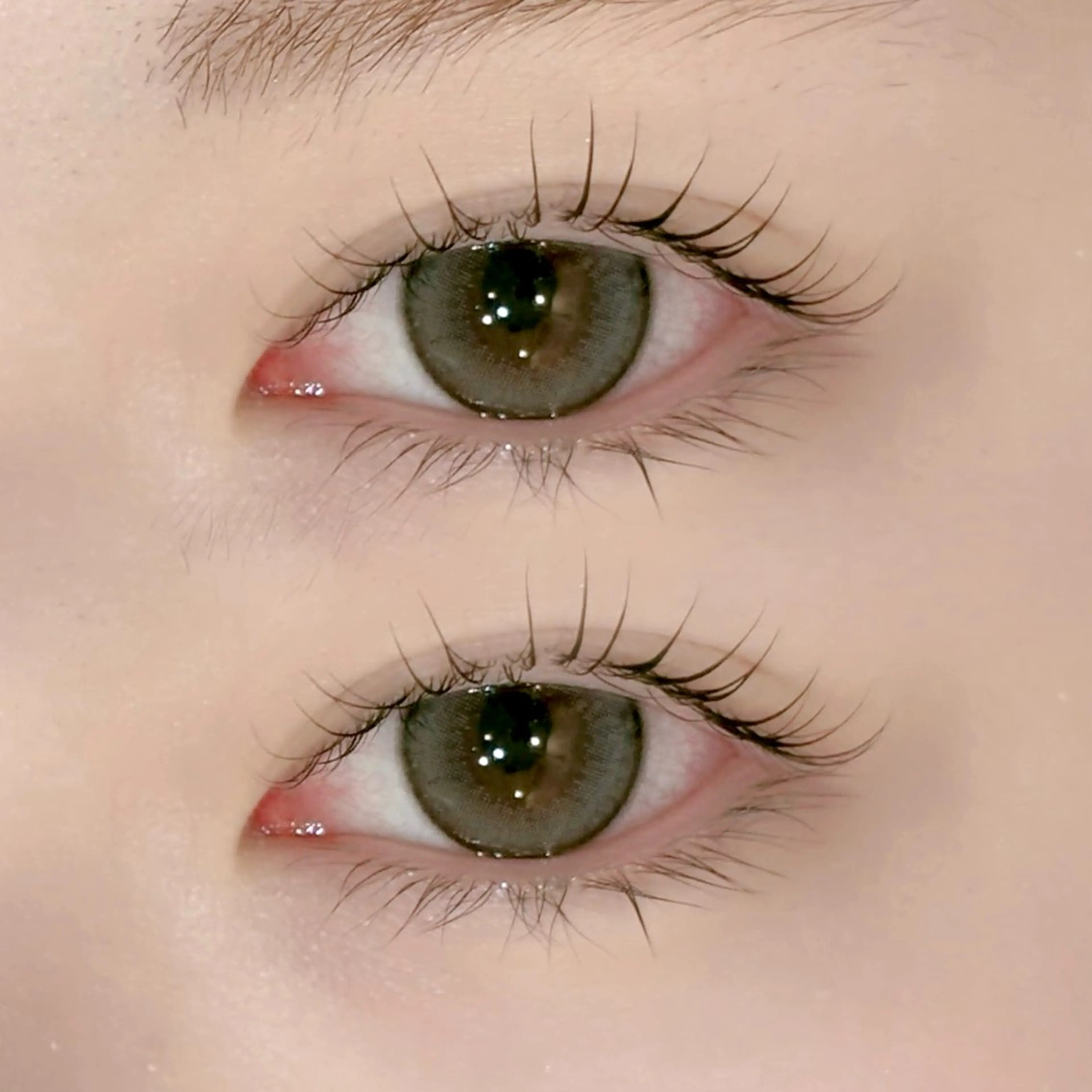 【4/14限定】まつげパーマモデル𝜗𝜚の写真